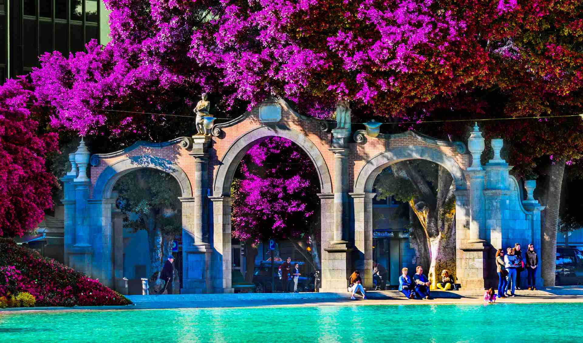 13 Interesting Facts about Tenerife