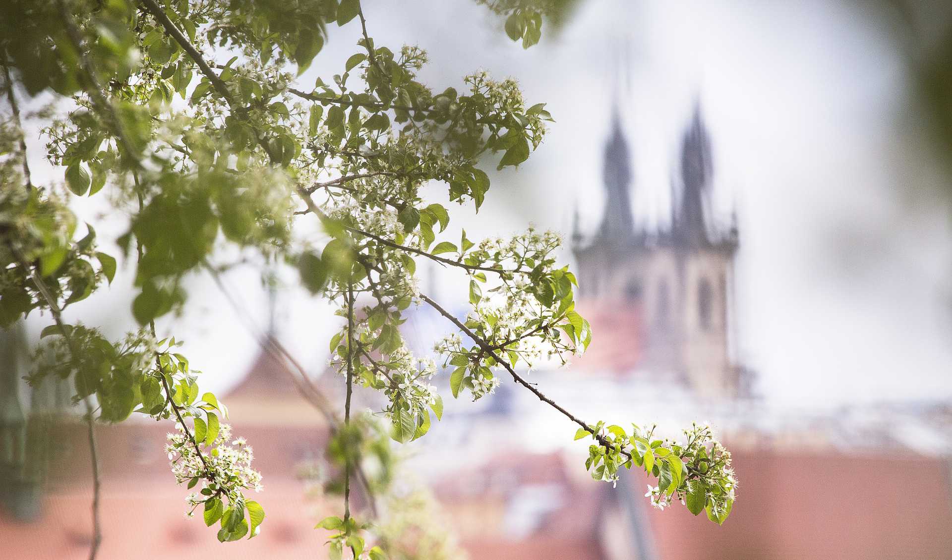 Prague in April: the Endless Youth of the Ancient City