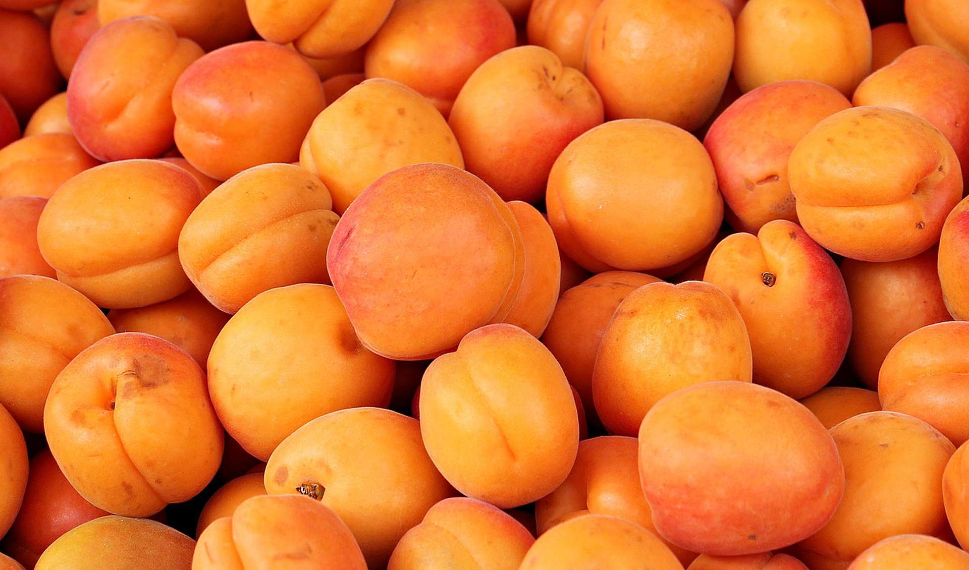 Spanish Fruit and Vegetables — A Seasonal Guide