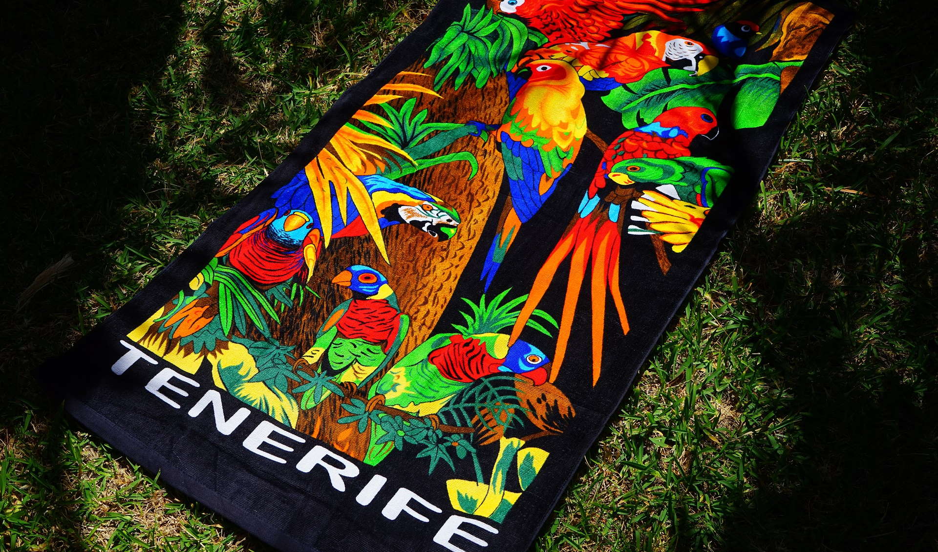 What to Buy in Tenerife: The Best 18 Souvenirs for Adults and Kids