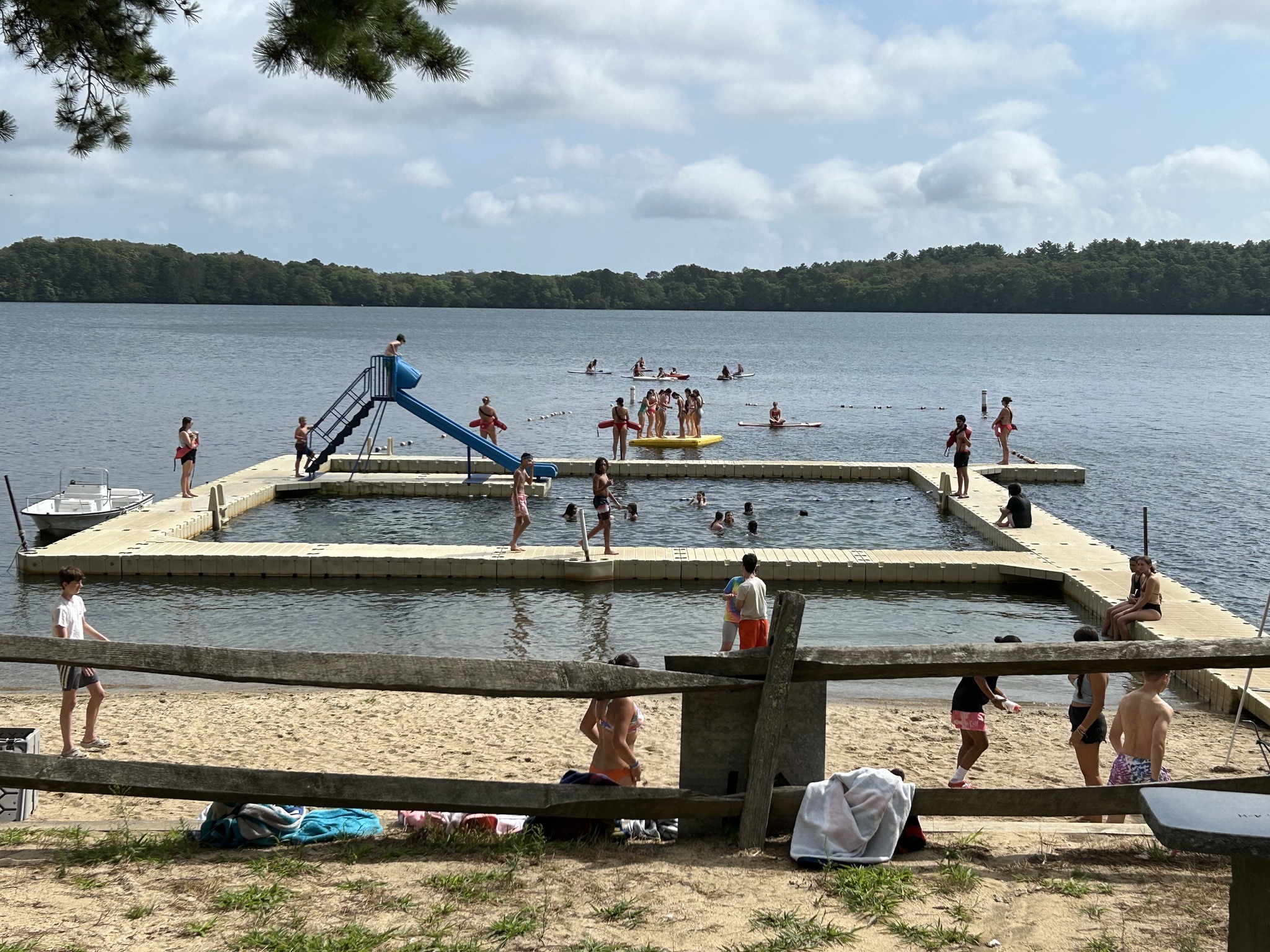 MSPCA Childrens Summer Camp photo 1