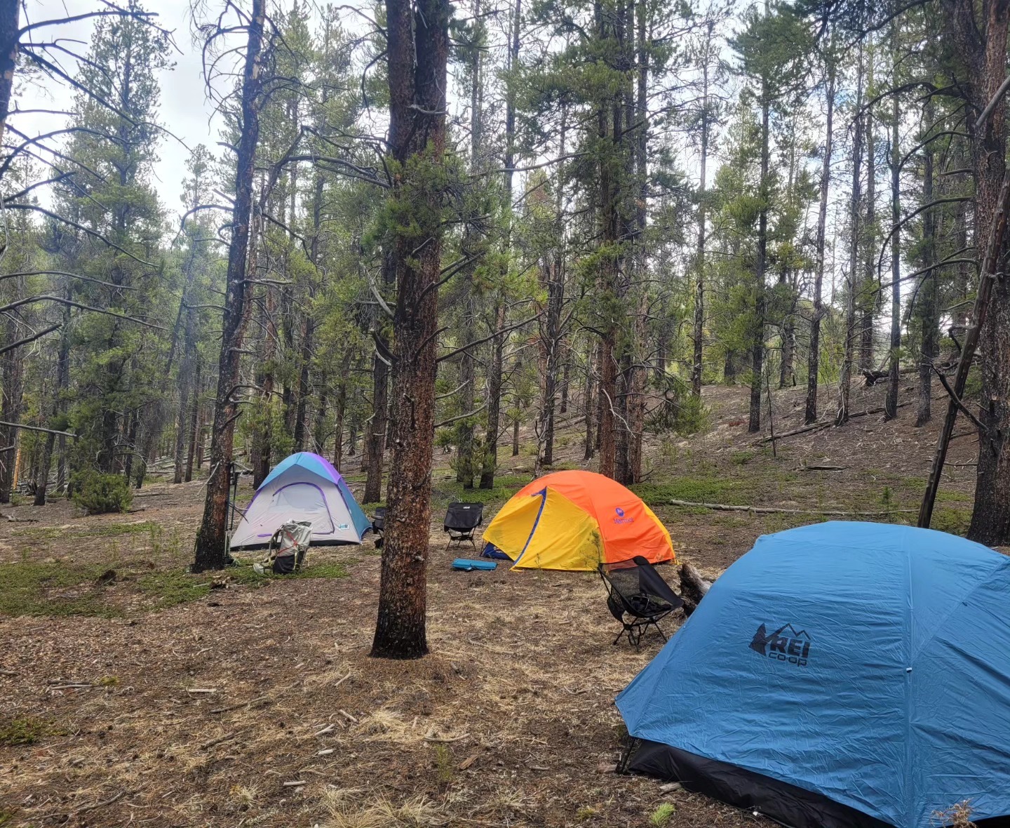 Colorado Mountain Ranch photo 1