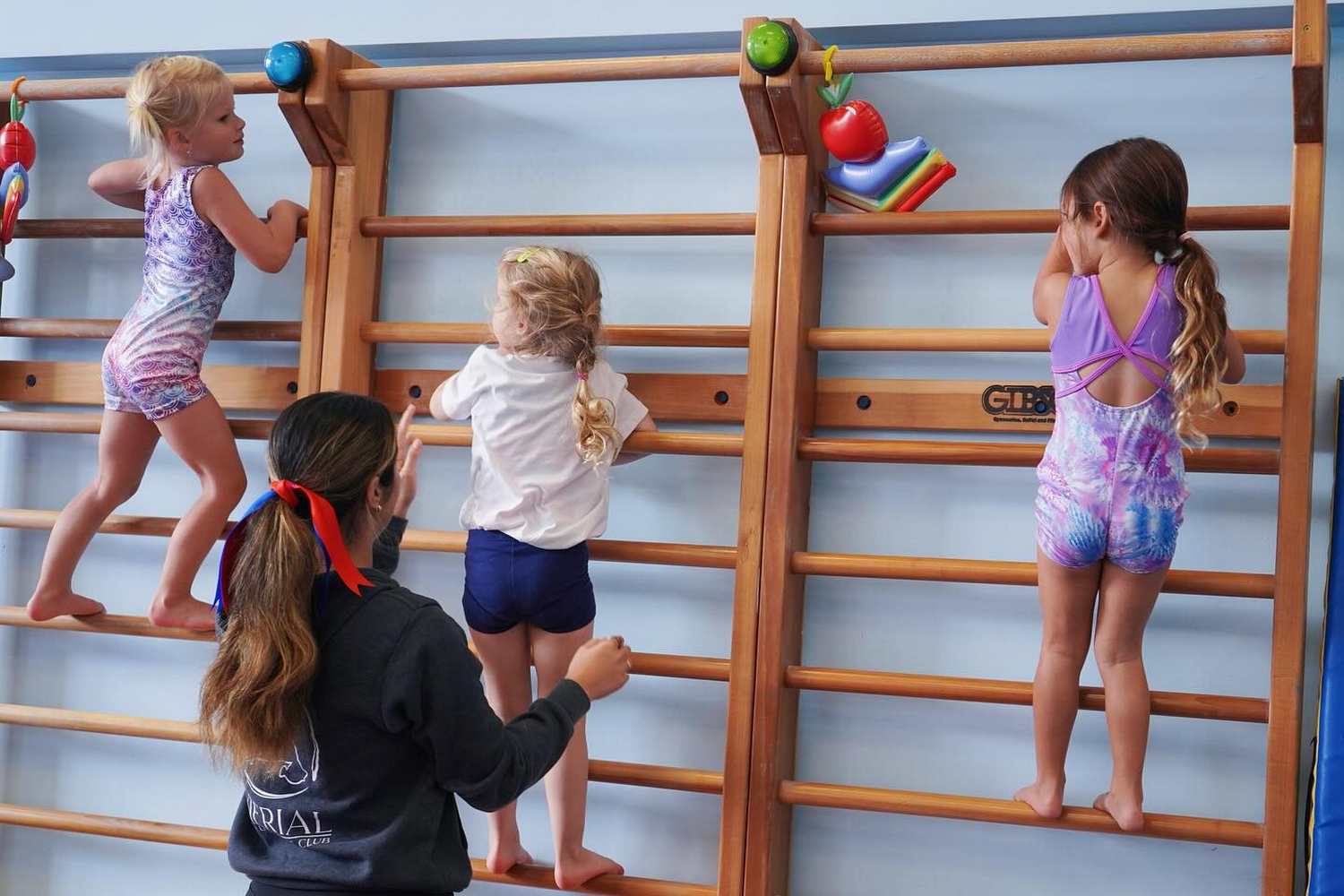 Aerial Gymnastics Club - Redondo Beach photo 1