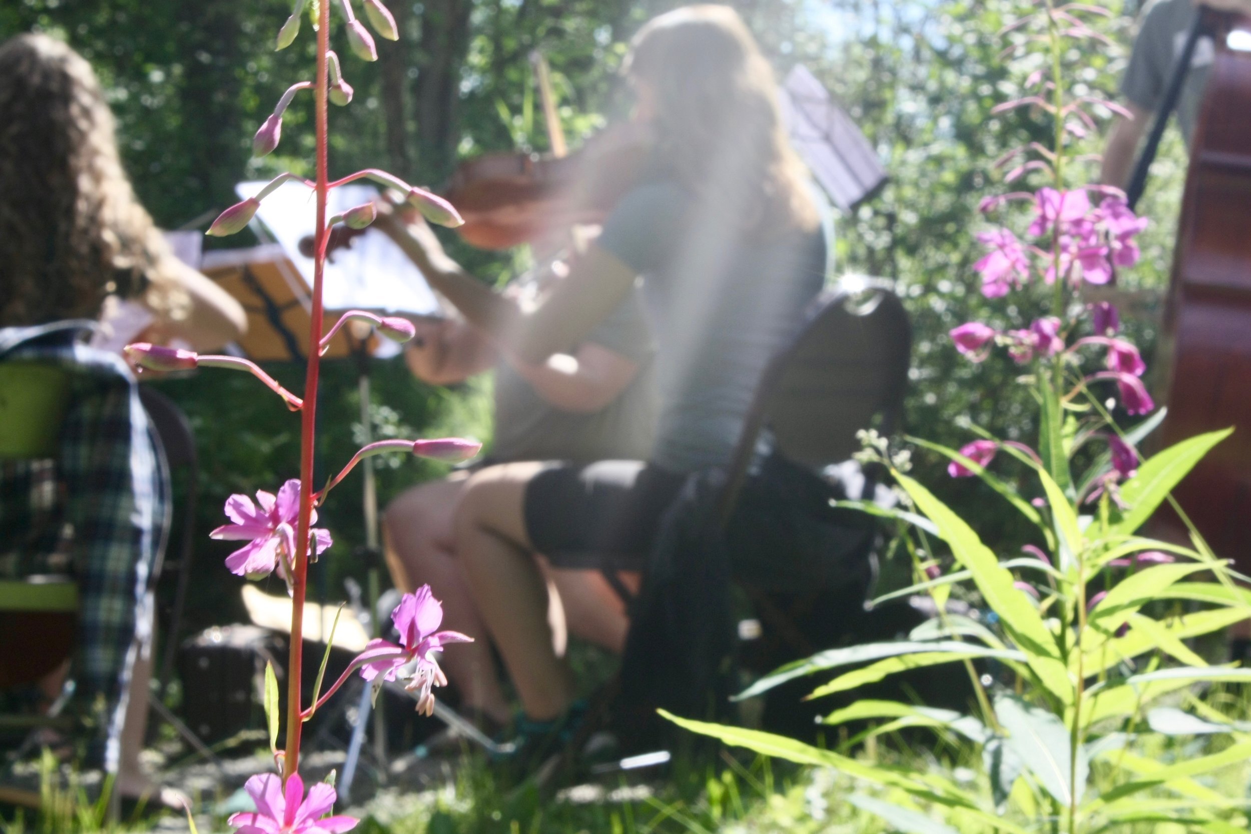 Birchwood Camp photo 1