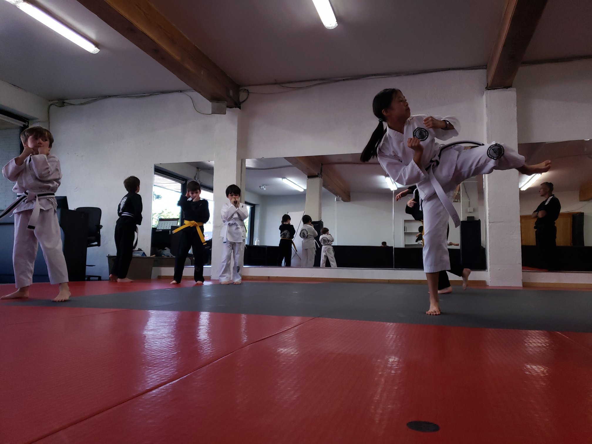 Alpha Martial Arts Summer Camp