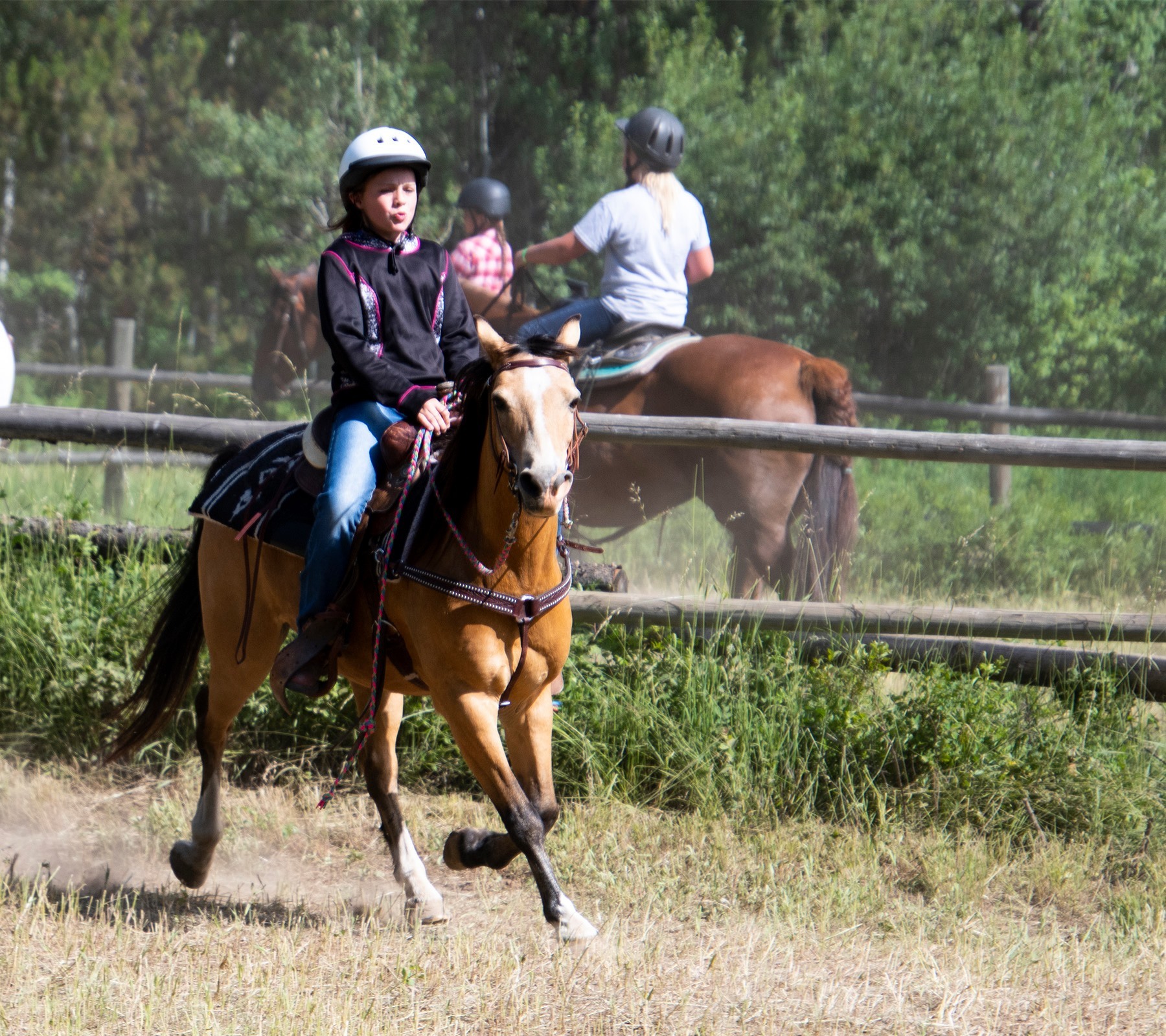 University Of Wyoming Summer High School Institute photo 1