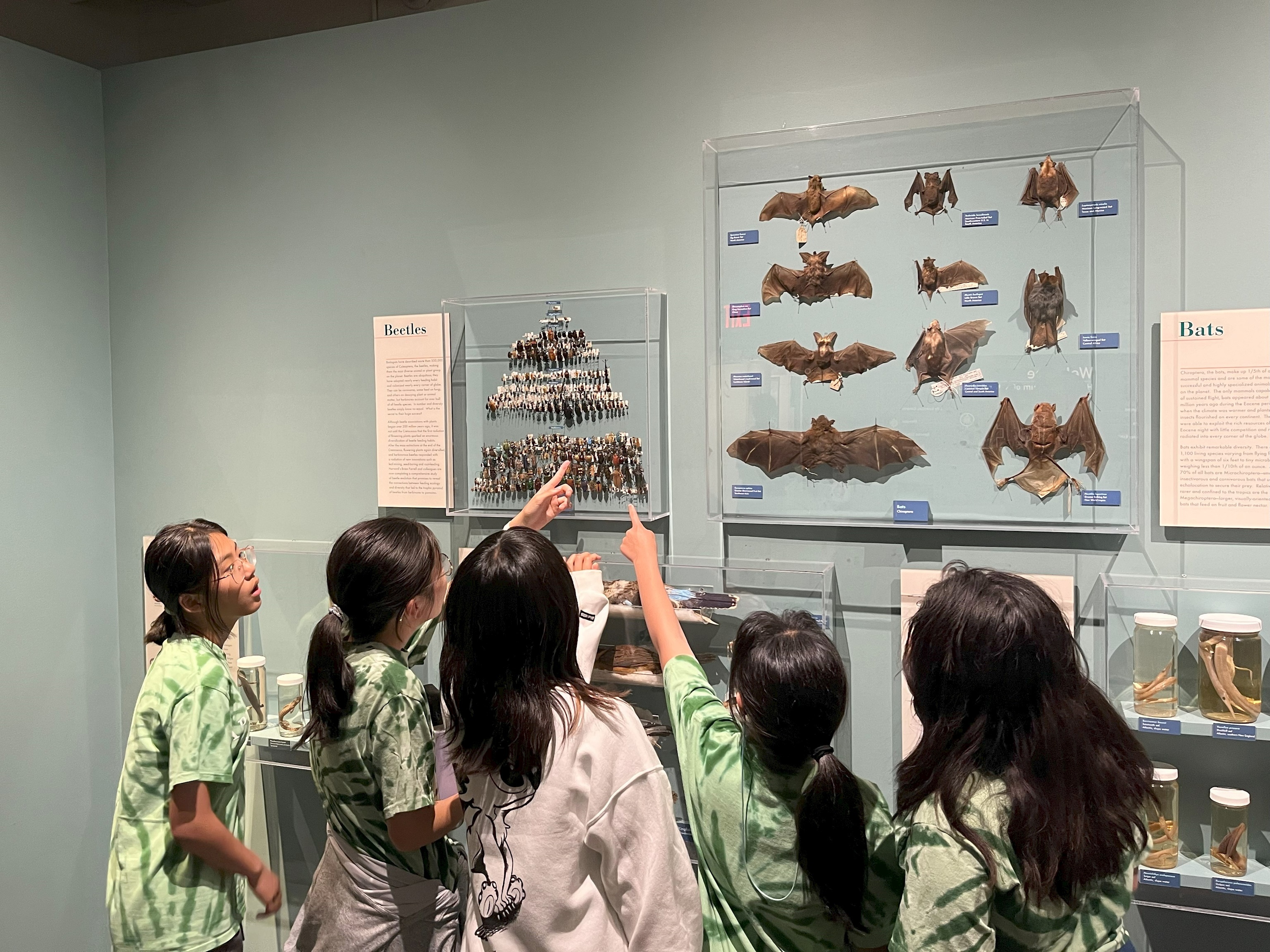 Camp Mah-Kee-Nac photo 1