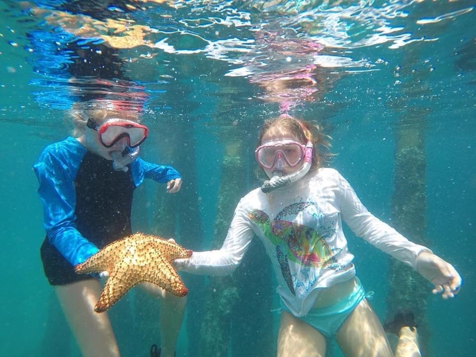 Aqua Explorers Summer Camp photo 1