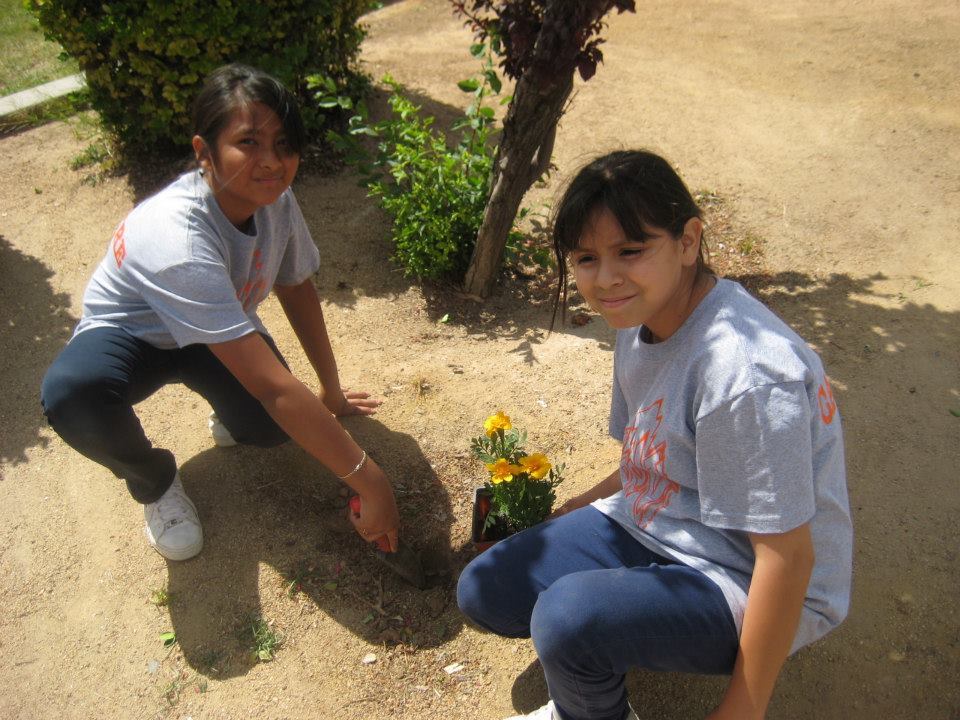 Camp Innovation photo 1