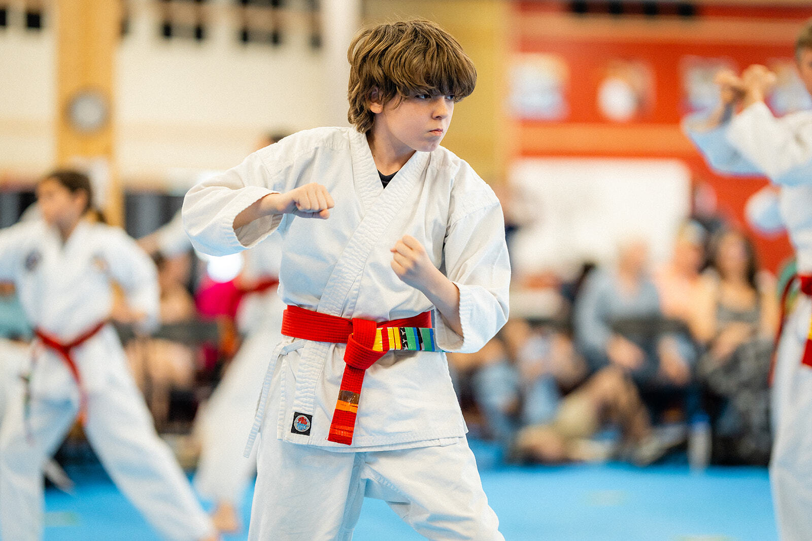 Asheville Sun Soo Martial Arts Summer Camp photo 1