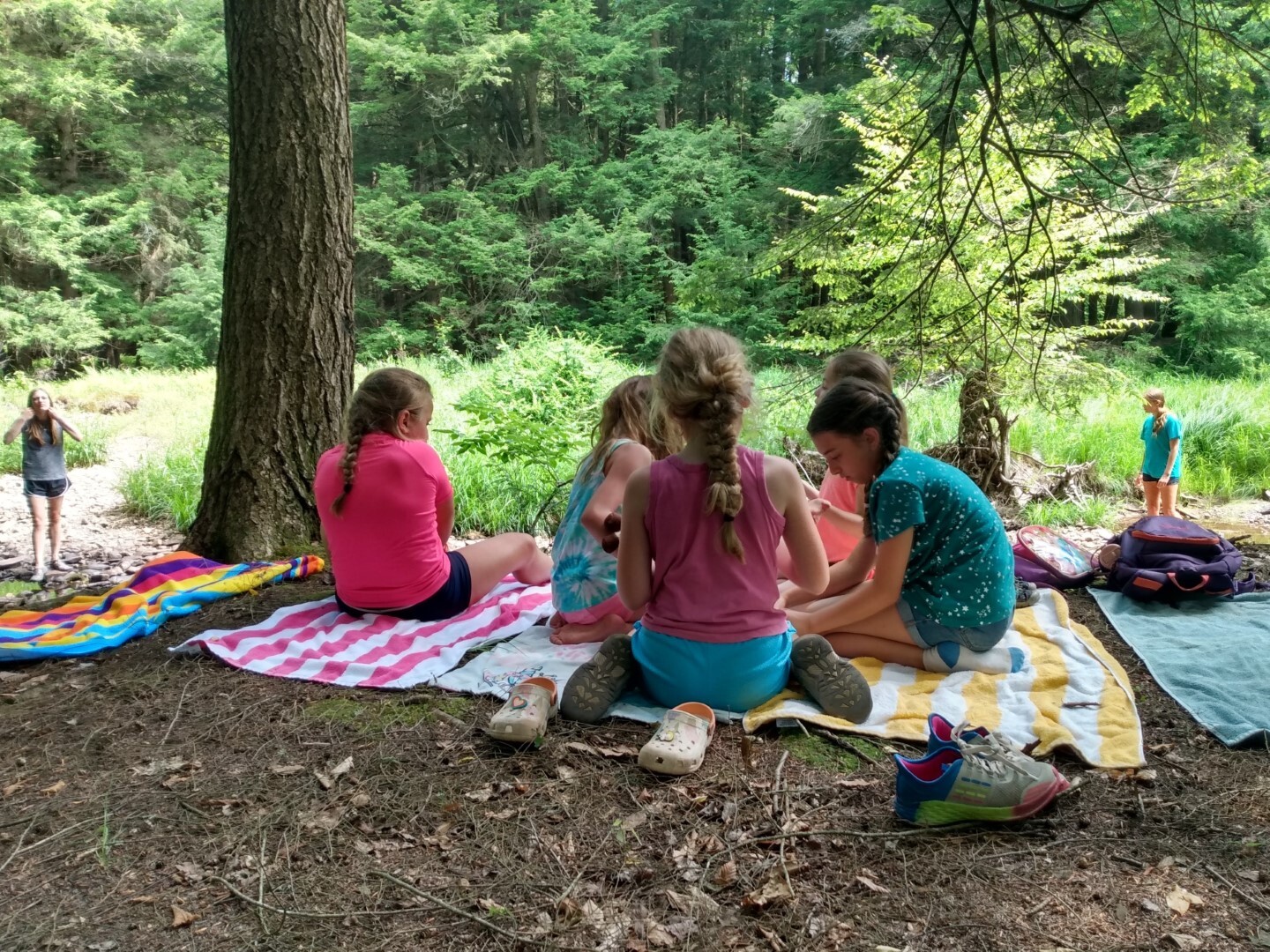 Bear Creek Camp photo 1