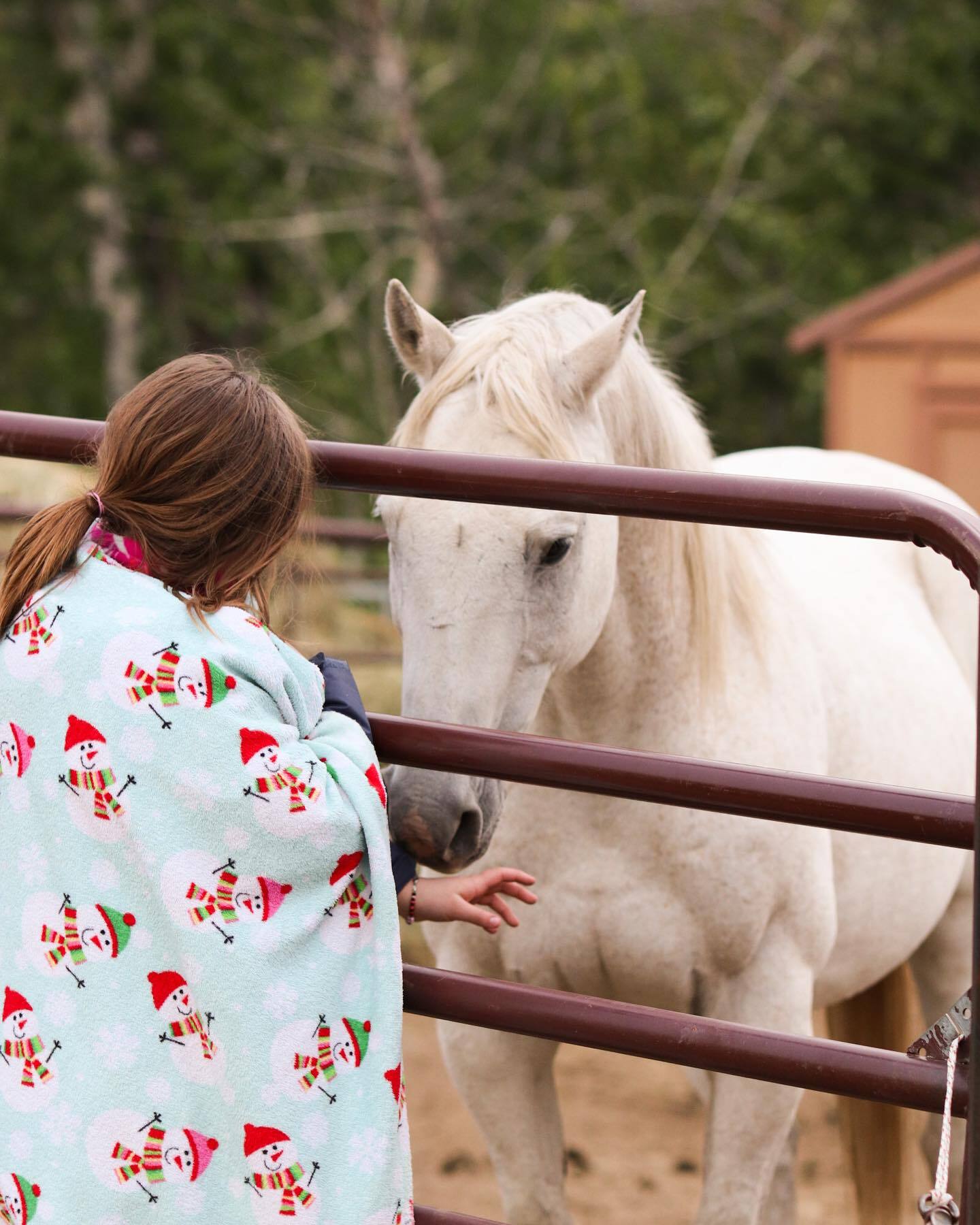 Beartooth Christian Camp photo 1