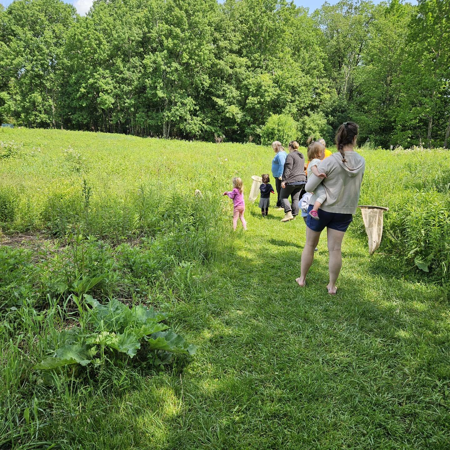 Beaver Meadow Audubon Center Day Camp photo 1