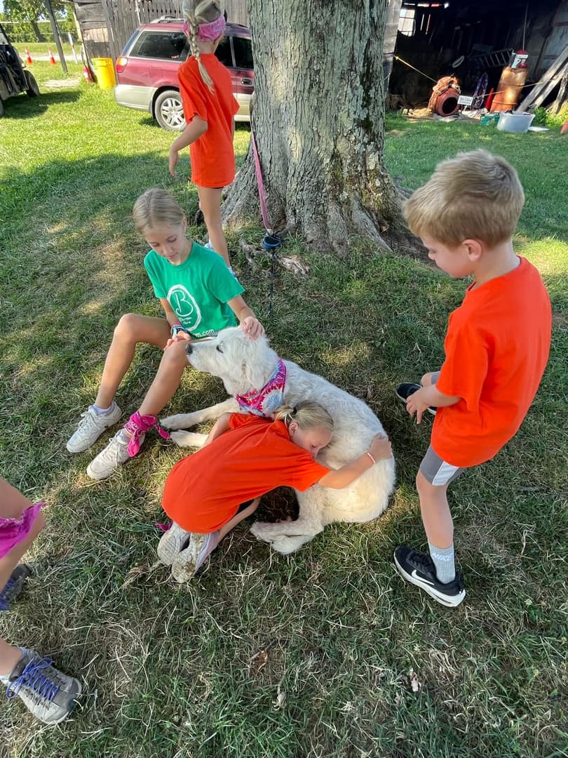 Benton Farm Summer Camp photo 1