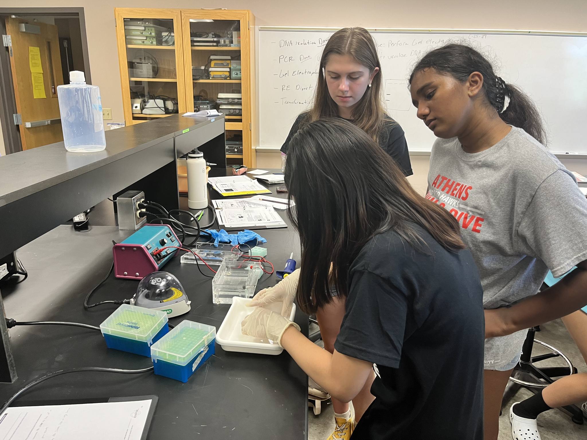 YMCA Camp Hyde photo 1