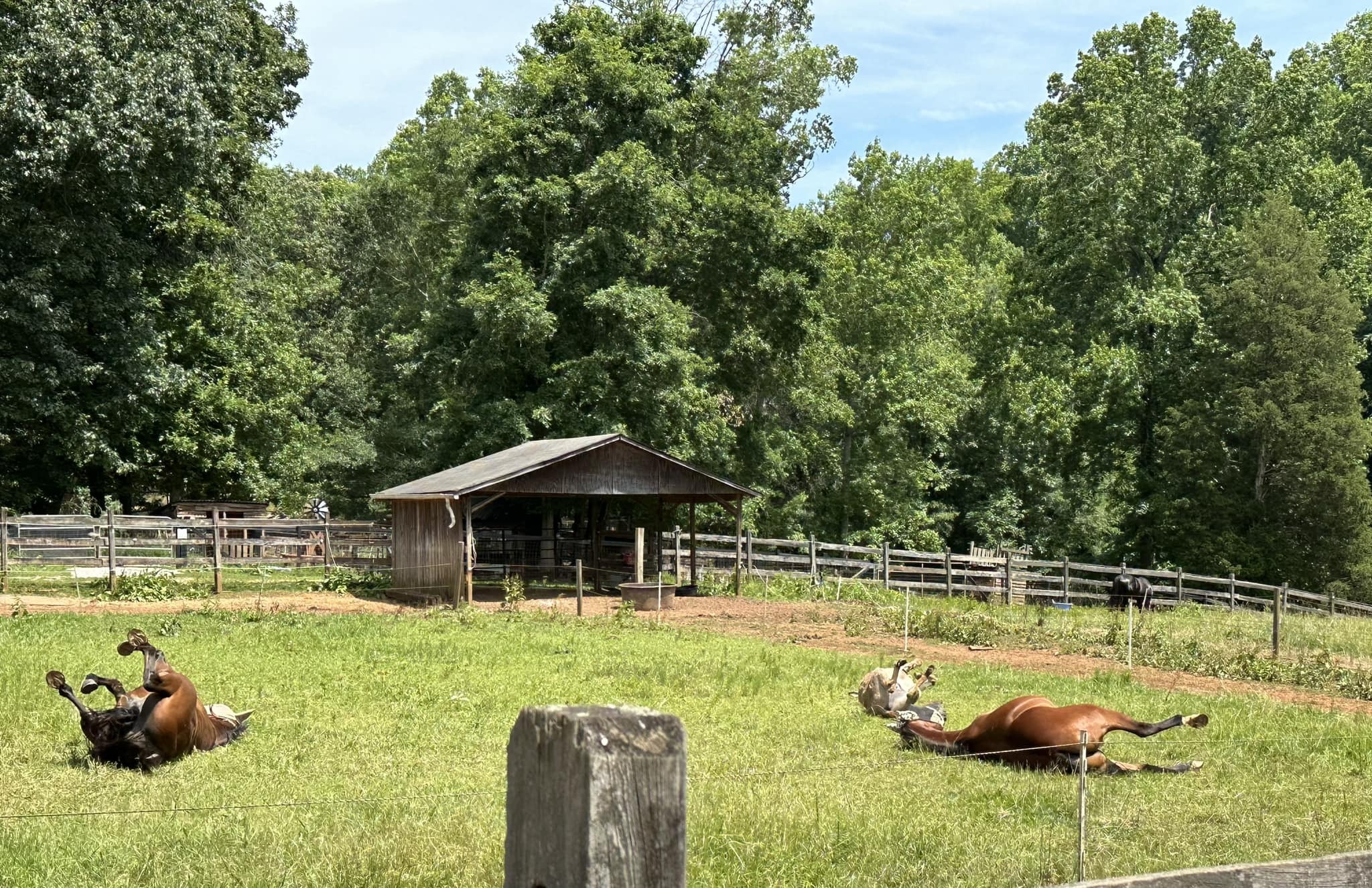 Bit of Hope Ranch photo 1