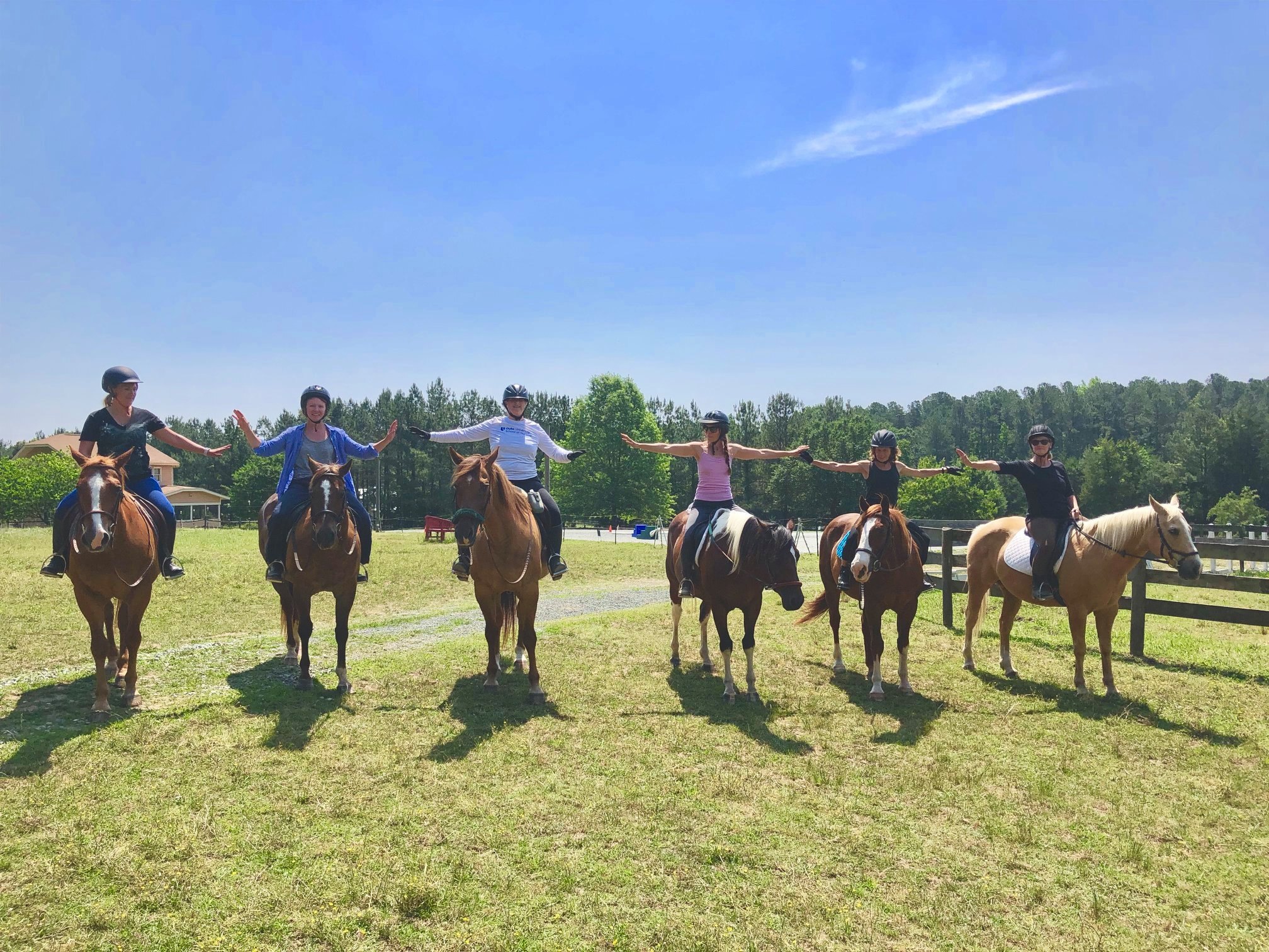 Blue Skies of Mapleview LLC