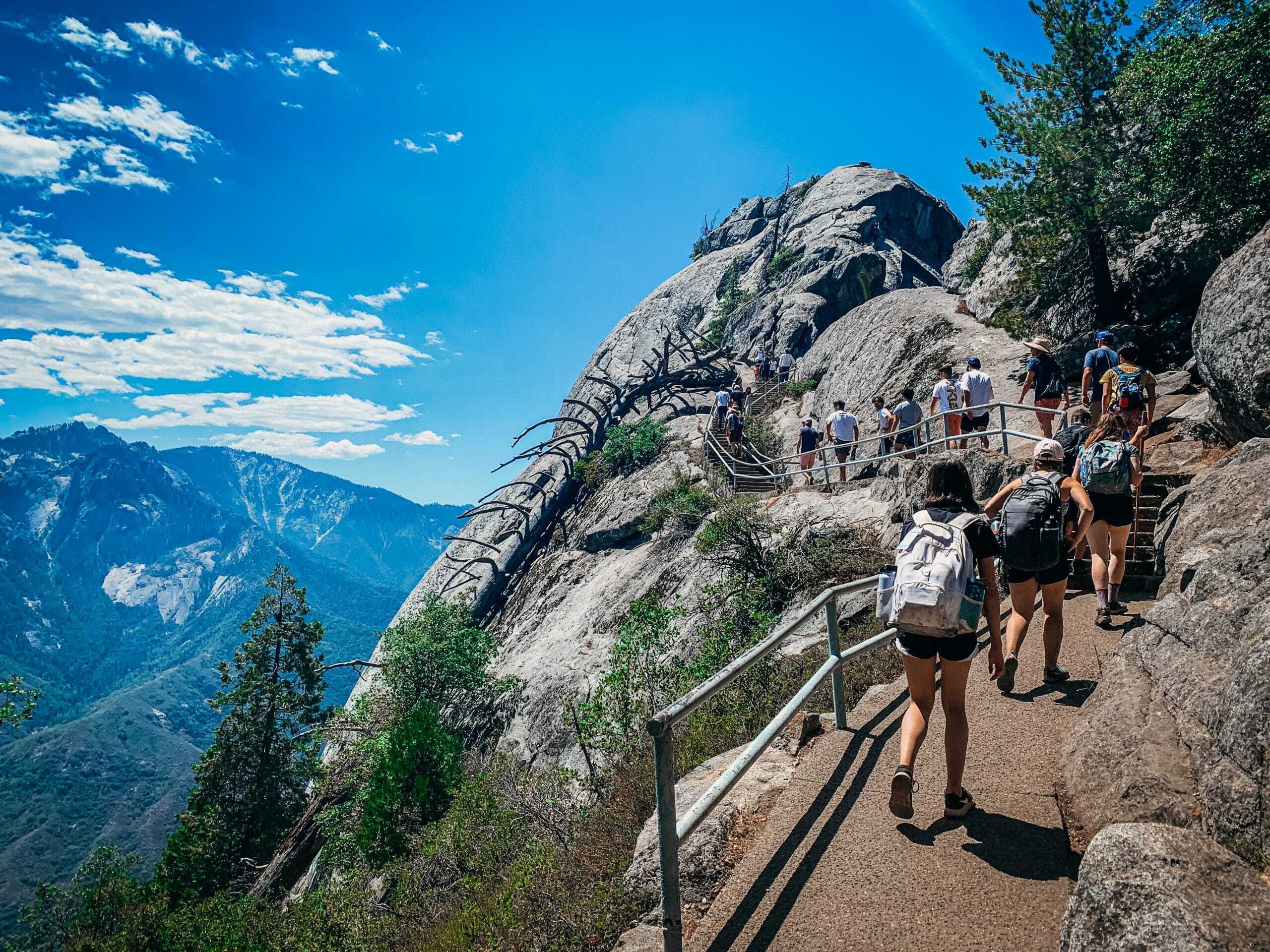 Into the Woods Alaska photo 1