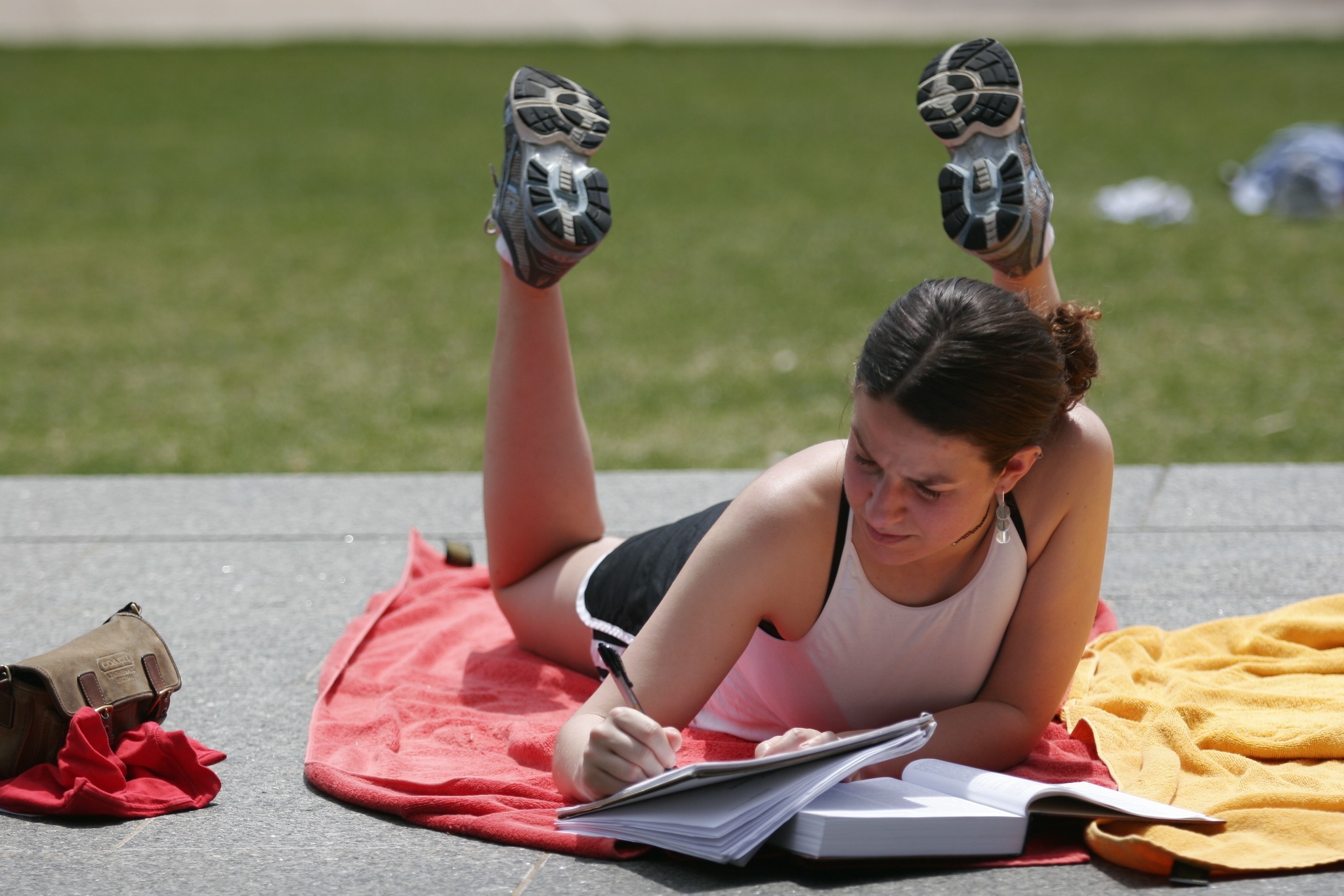 Brandeis Summer School photo 1