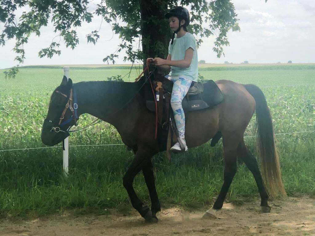 Camp Little Giant photo 1