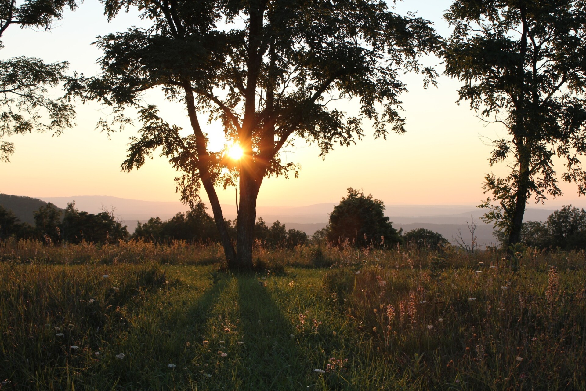Burgundy Center For Wildlife Studies