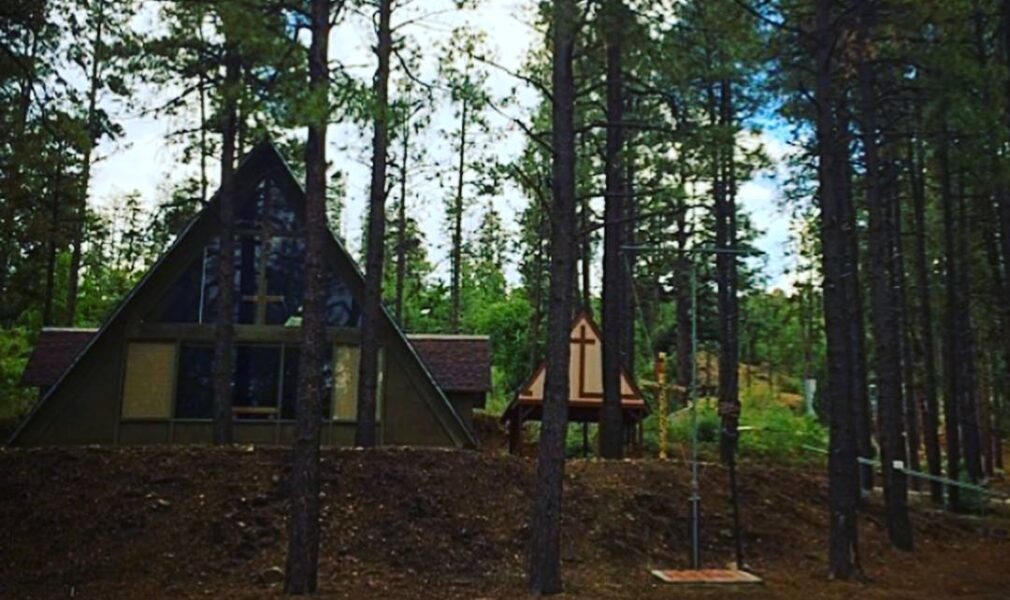 Camp Daisy and Harry Stein photo 1