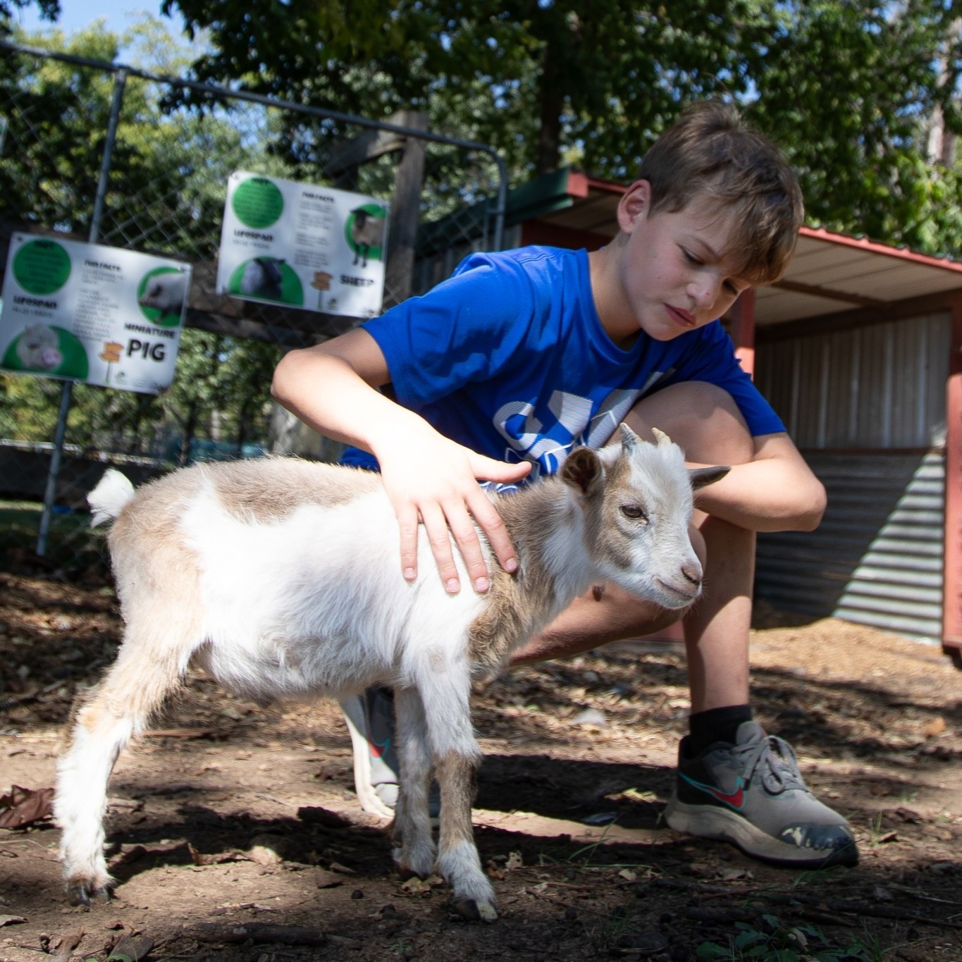 Camp Lakeside photo 1