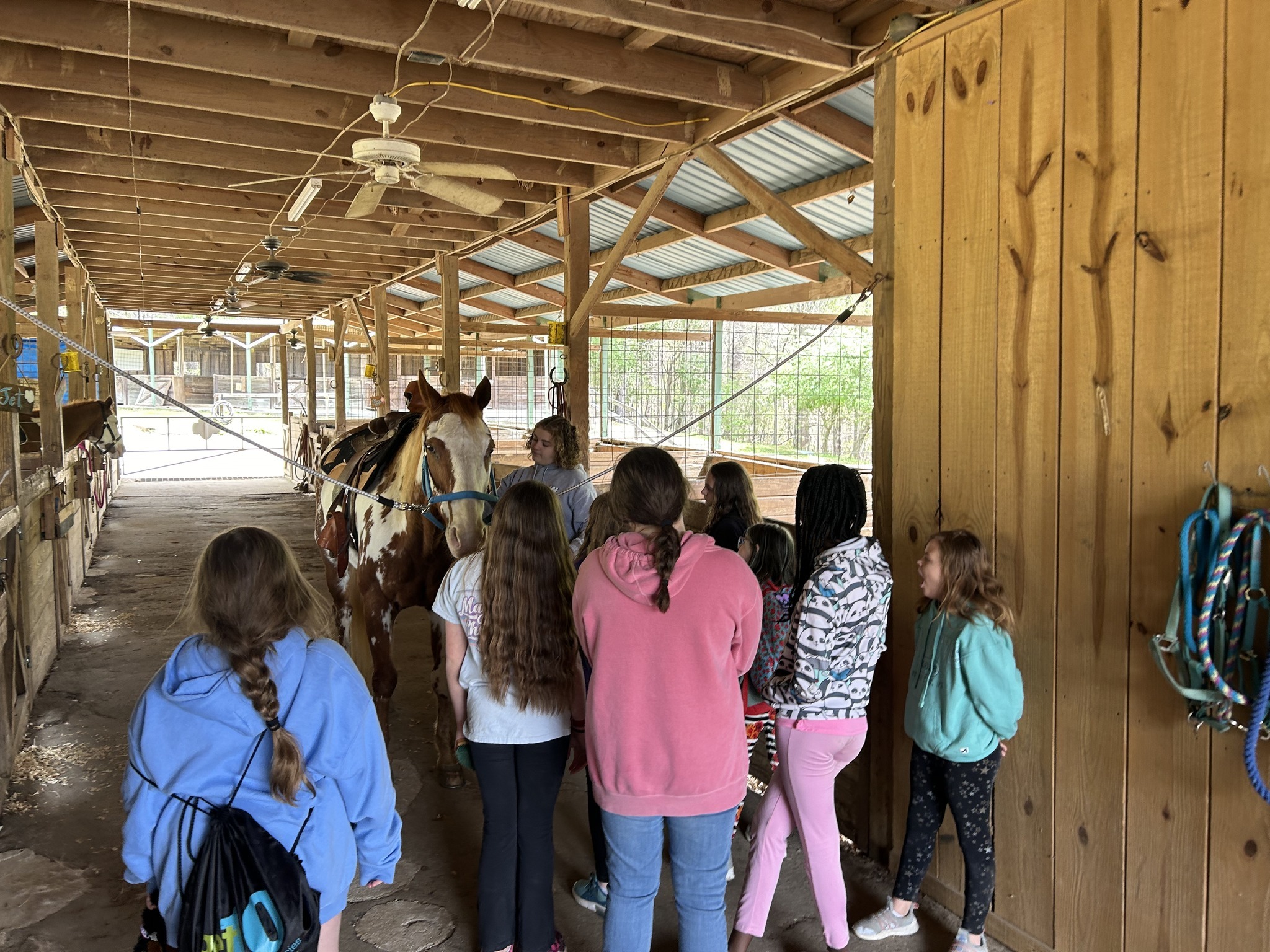 Camp Coleman photo 1