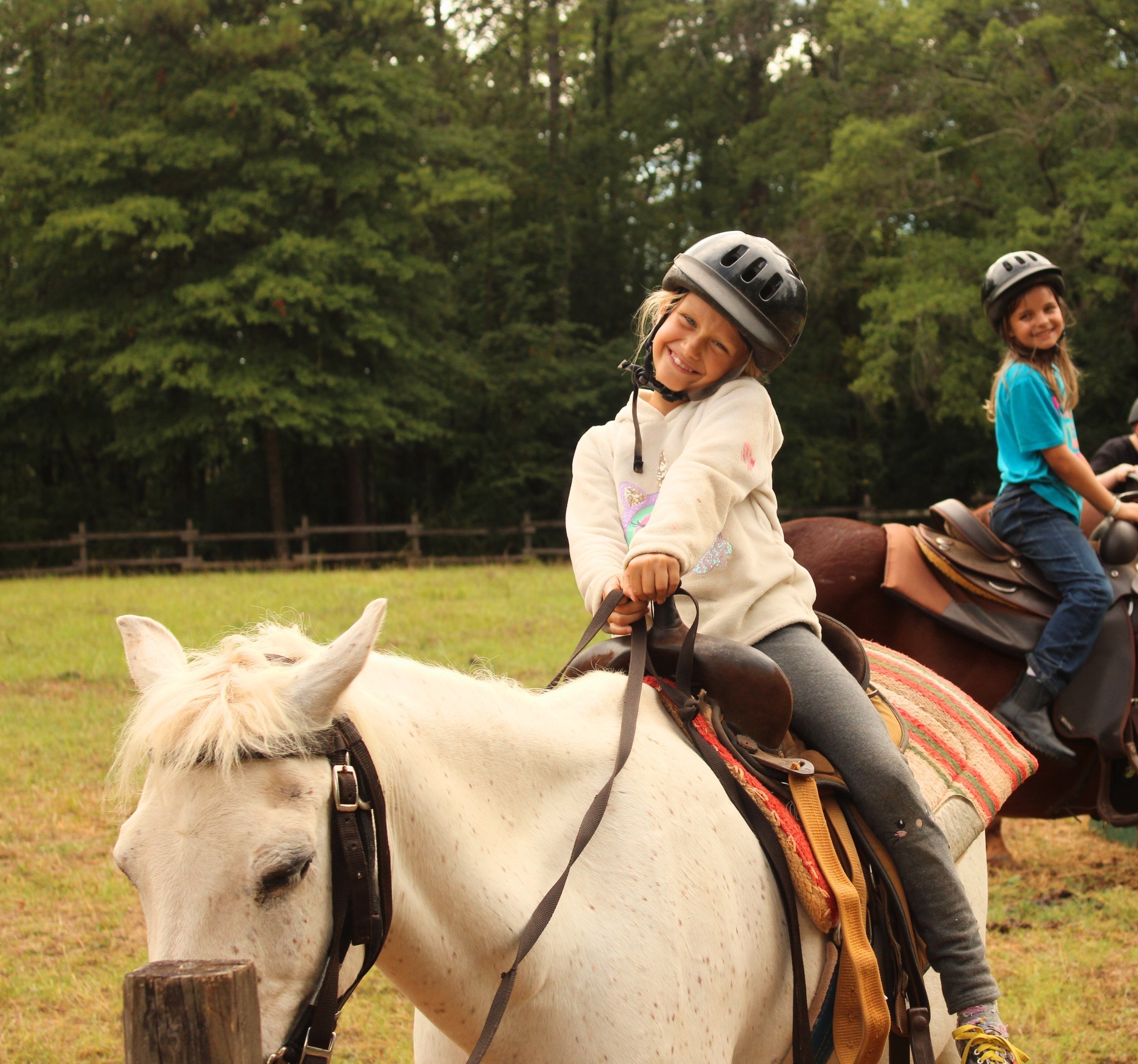 Girl Scouts of North-Central Alabama photo 1