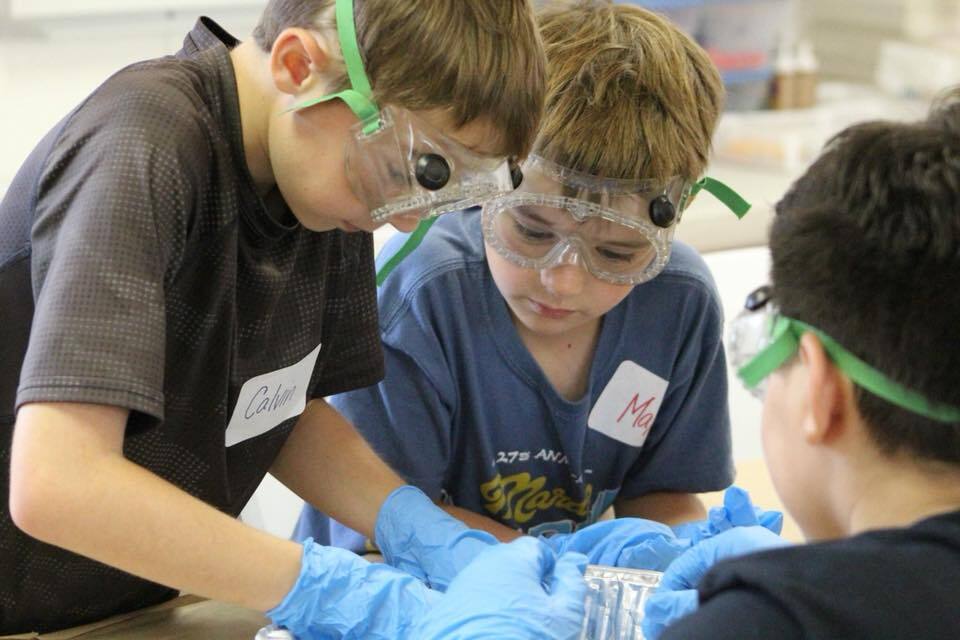 Camp Sunburst photo 1