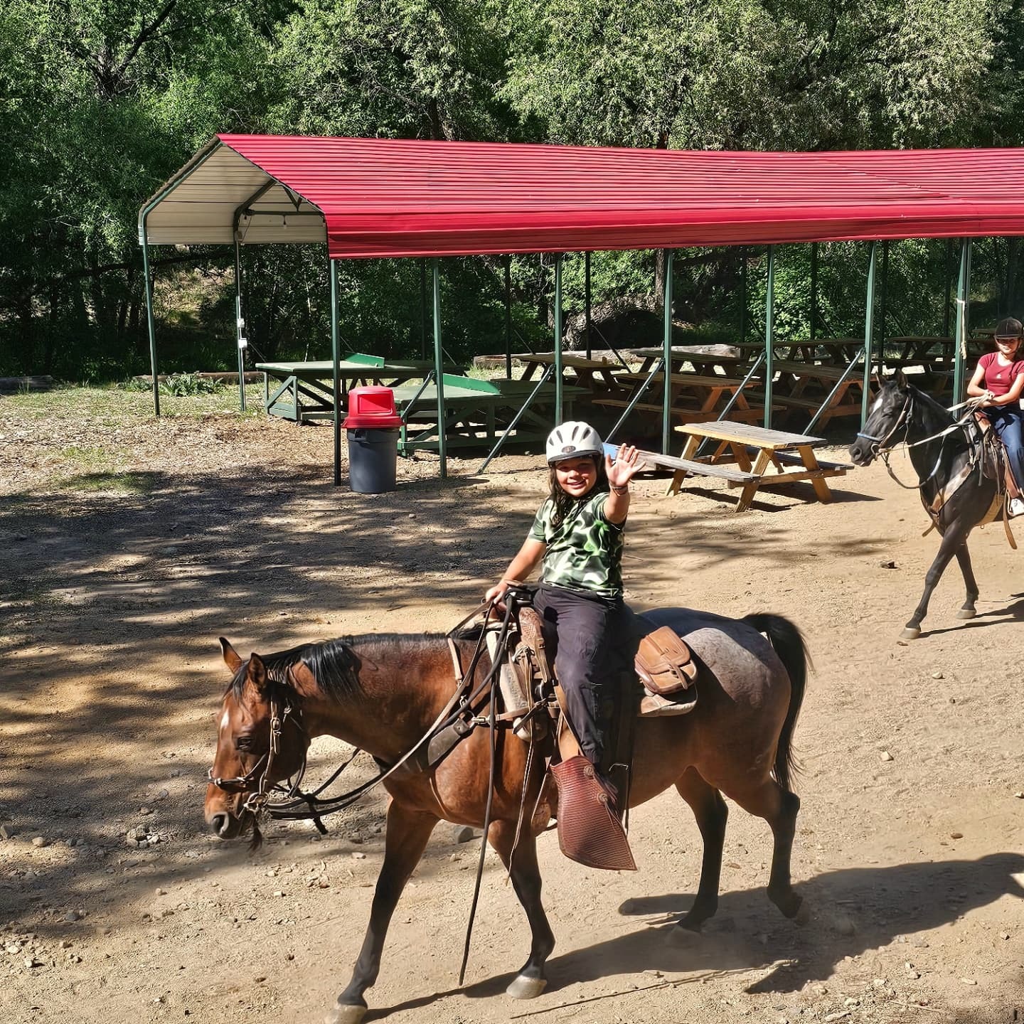 Camp Daisy and Harry Stein photo 1