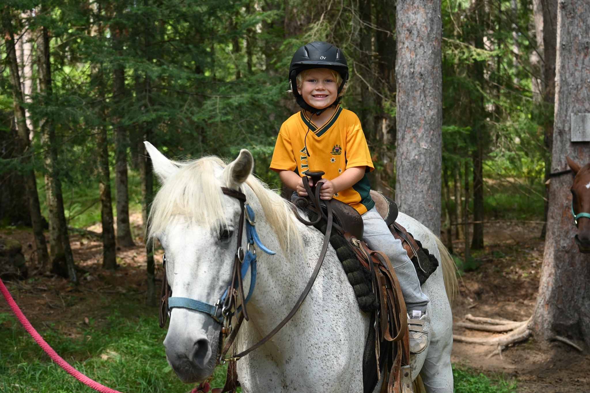 Camp Deerhorn photo 1