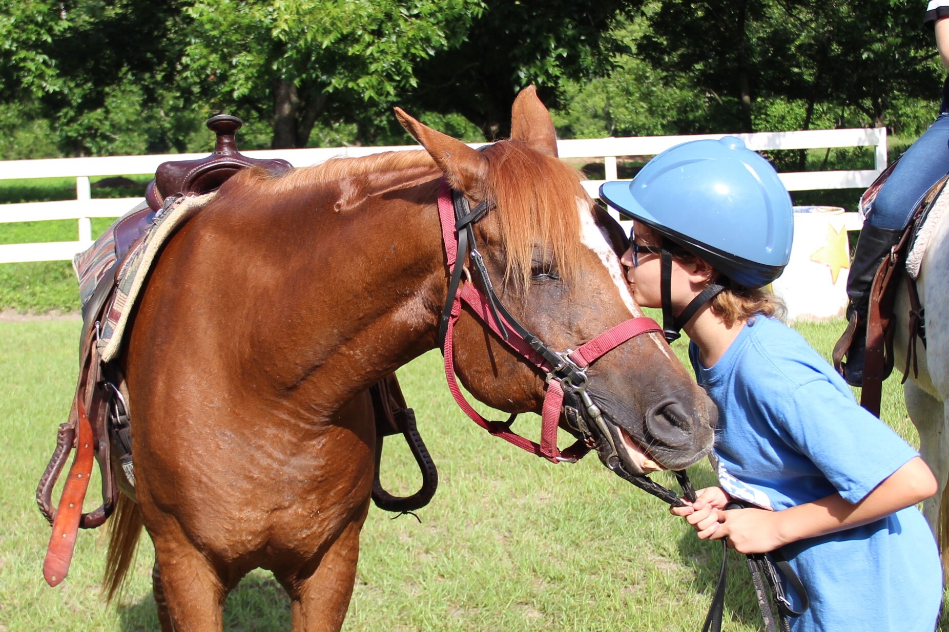 Golden Gait Riding Stable photo 1