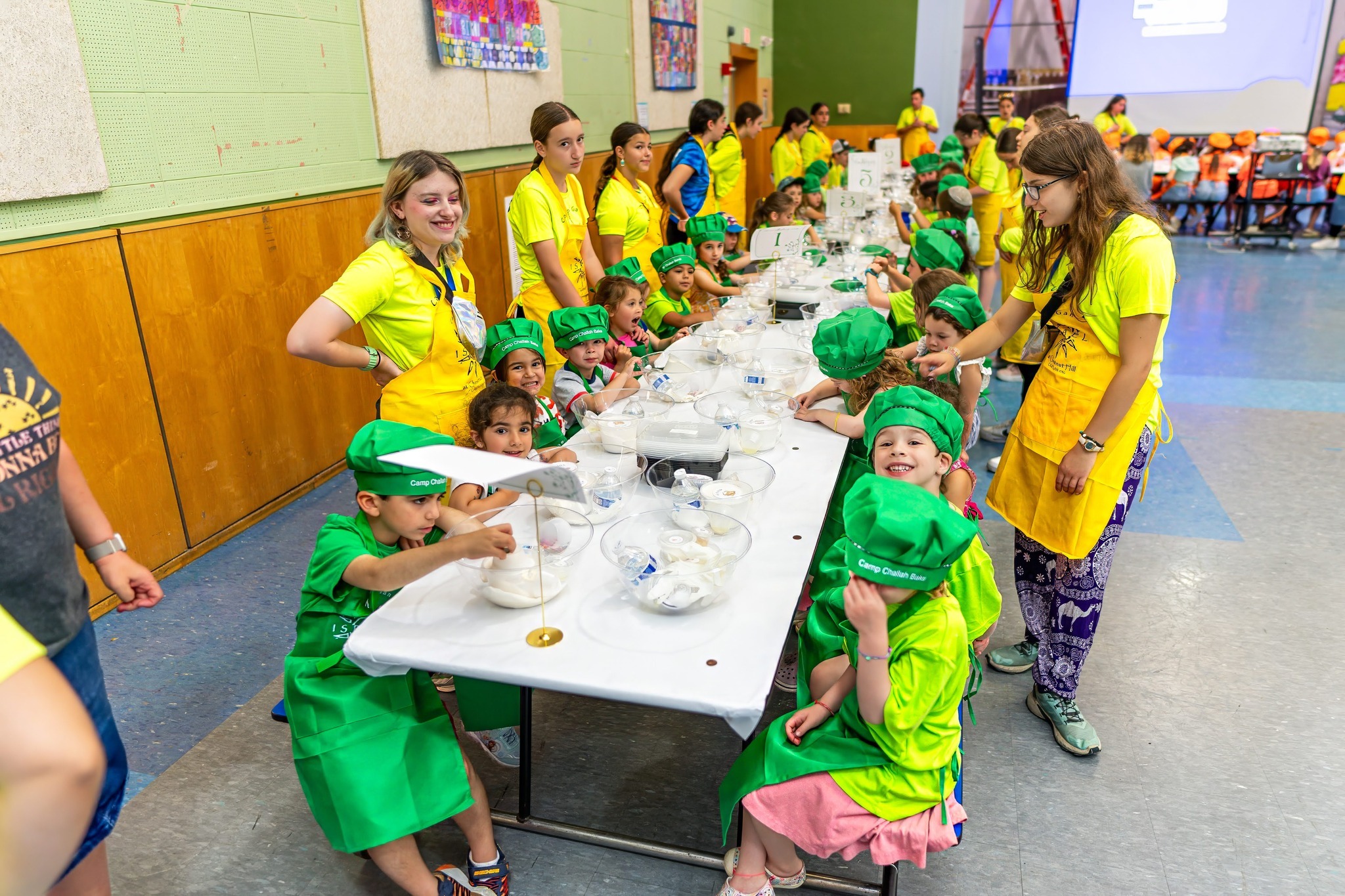 Camp Gan Israel At Chestnut Hill