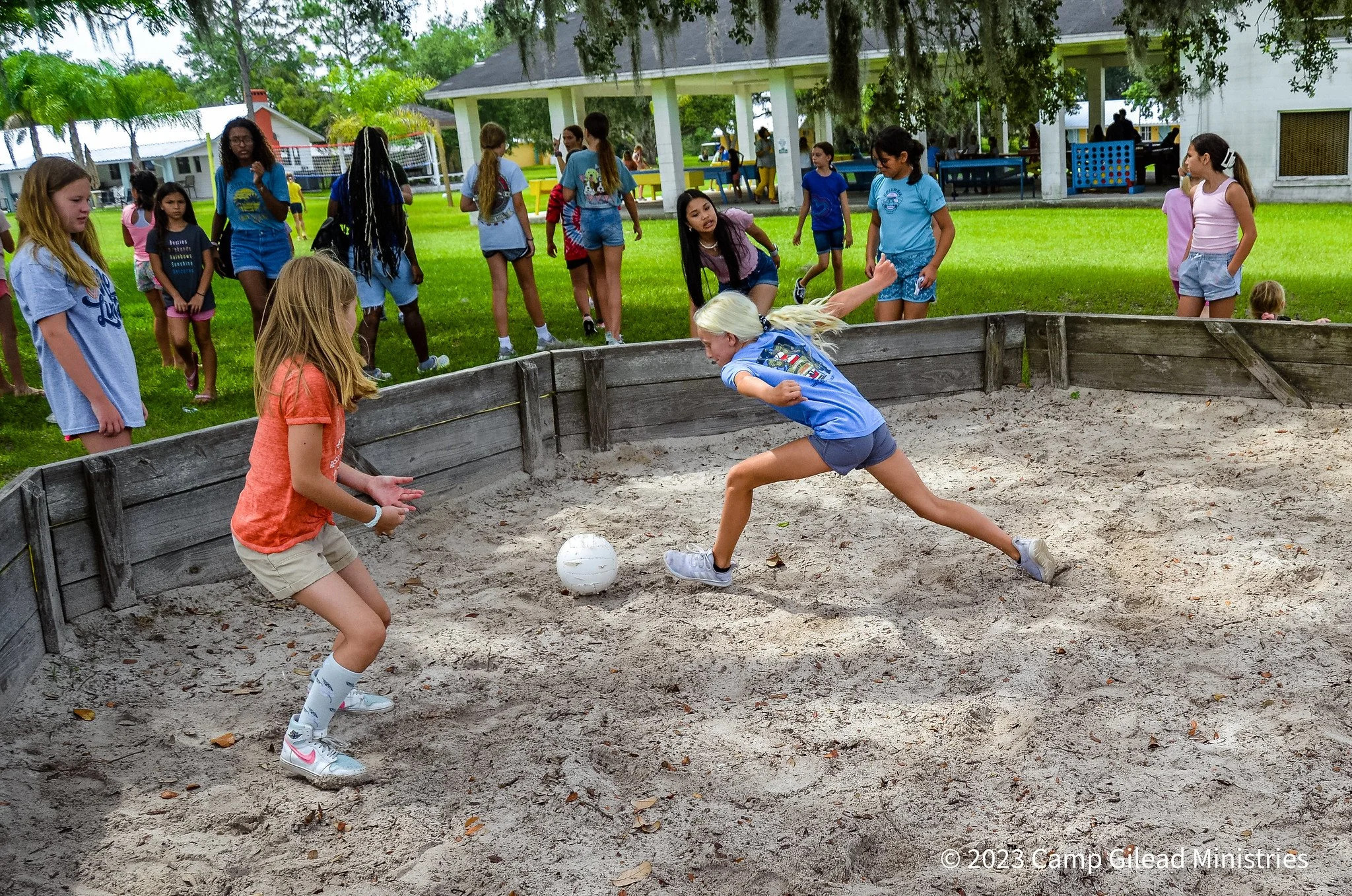 Camp Gilead Carnation