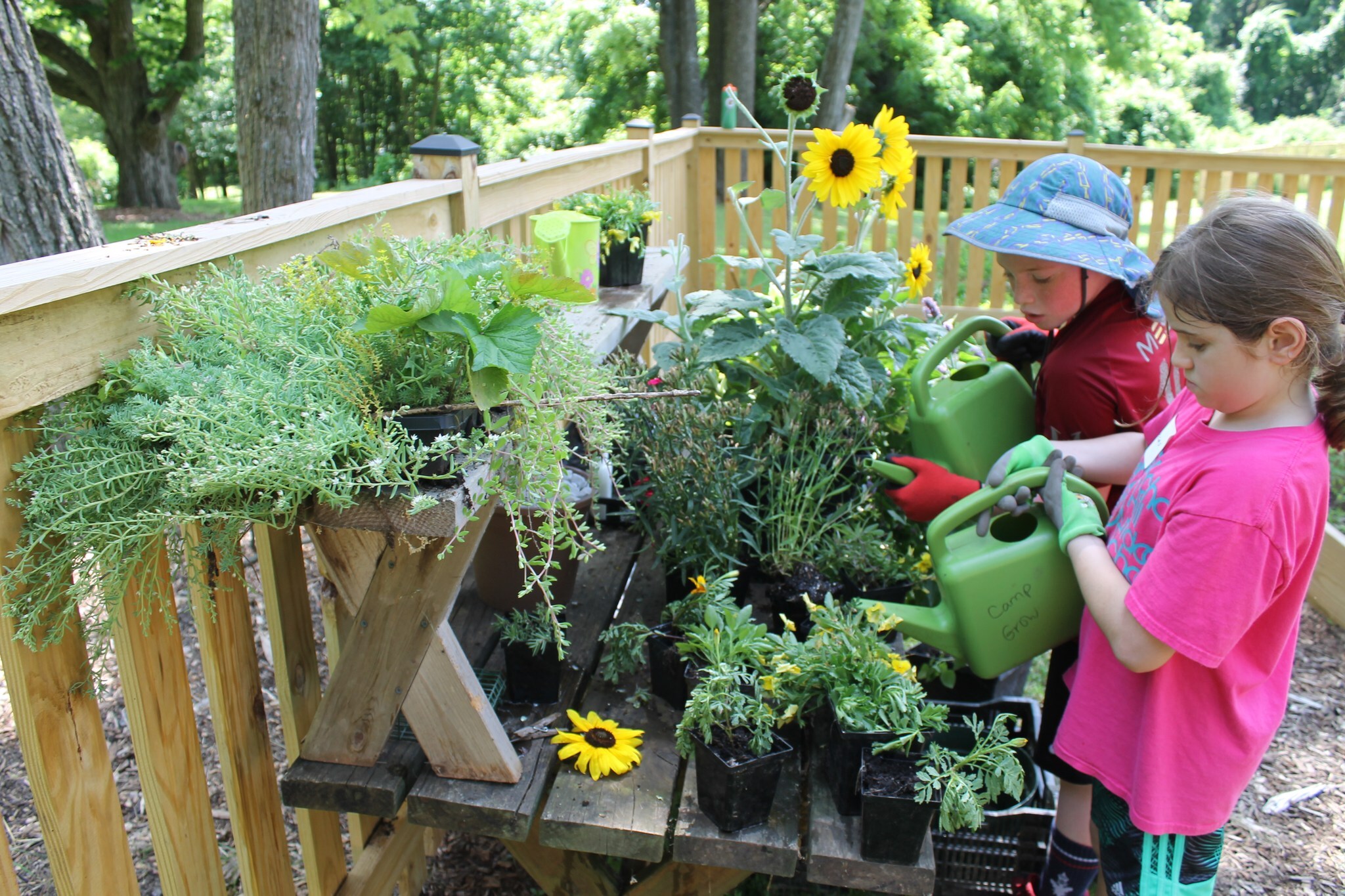 Camp Grow At Meadowlark Botanical Gardens