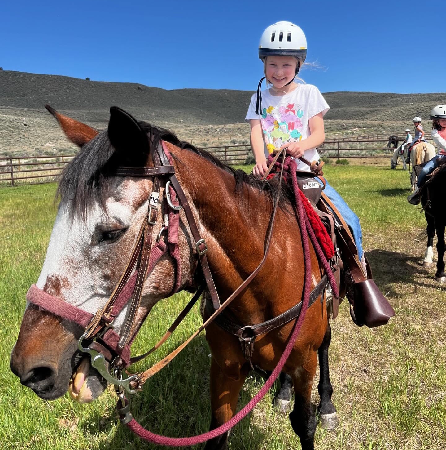 Wilderness Adventures Summer Camp photo 1