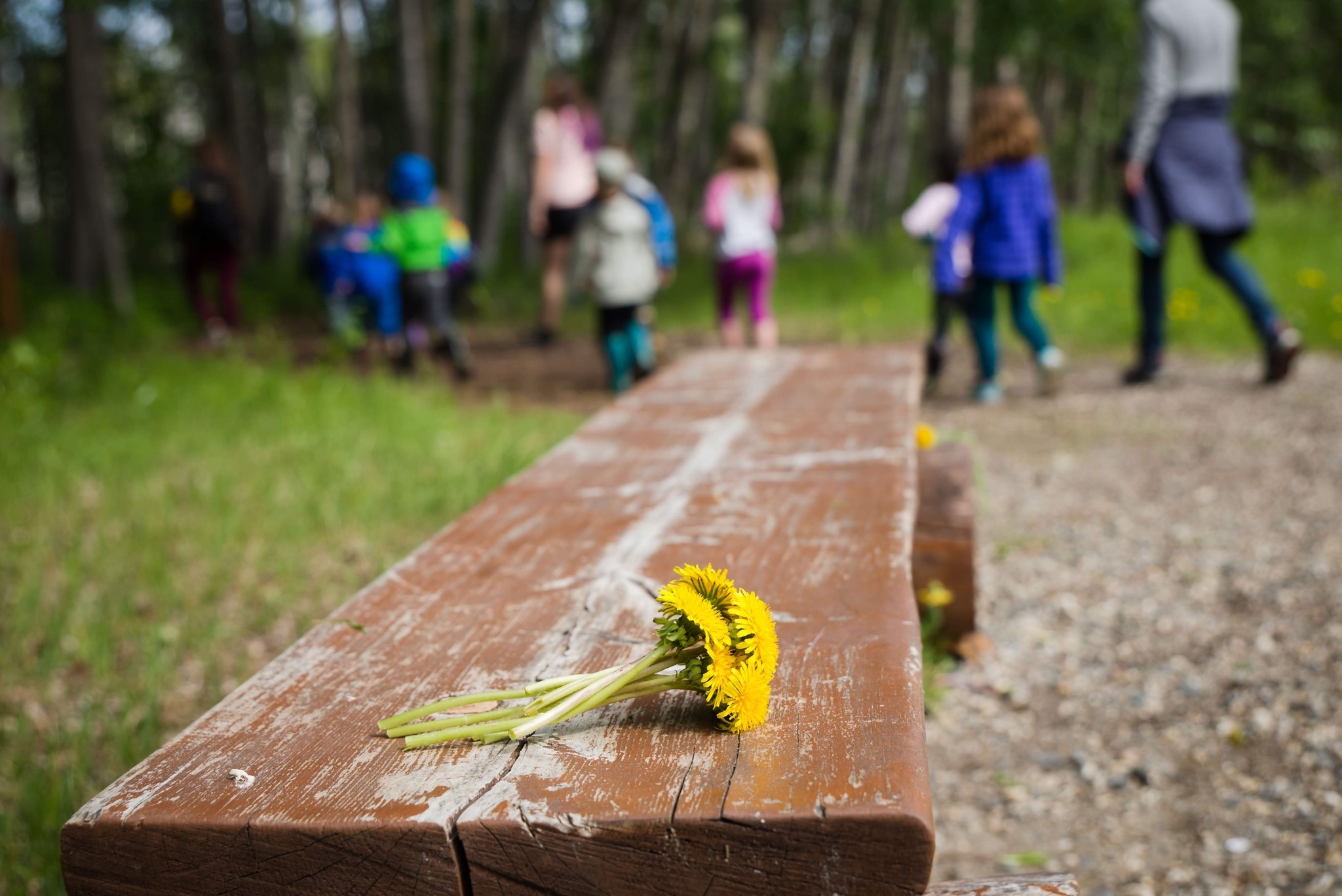 HoWL - Homer Wilderness Leaders photo 1