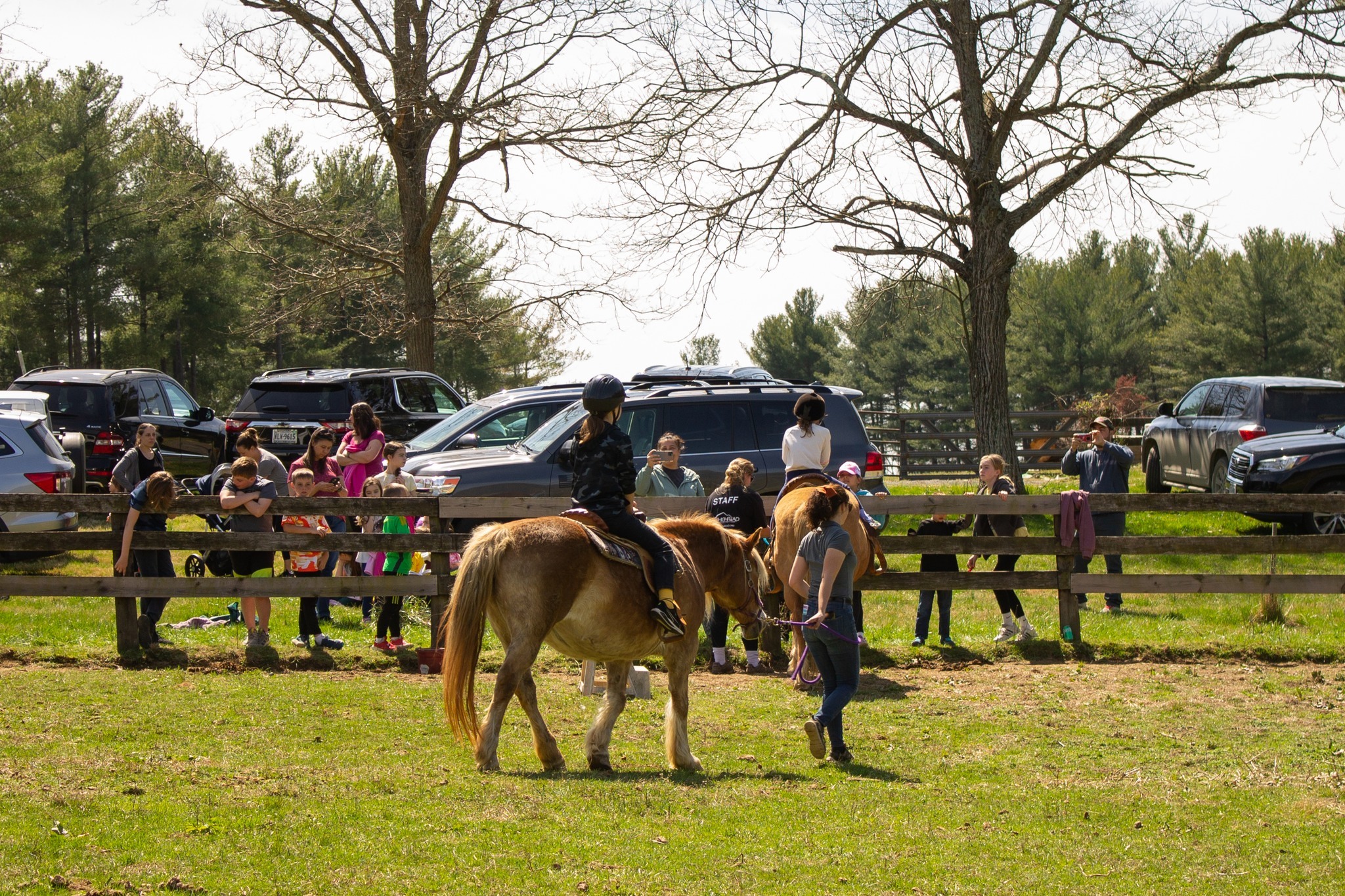 Mulford Riding Camps photo 1