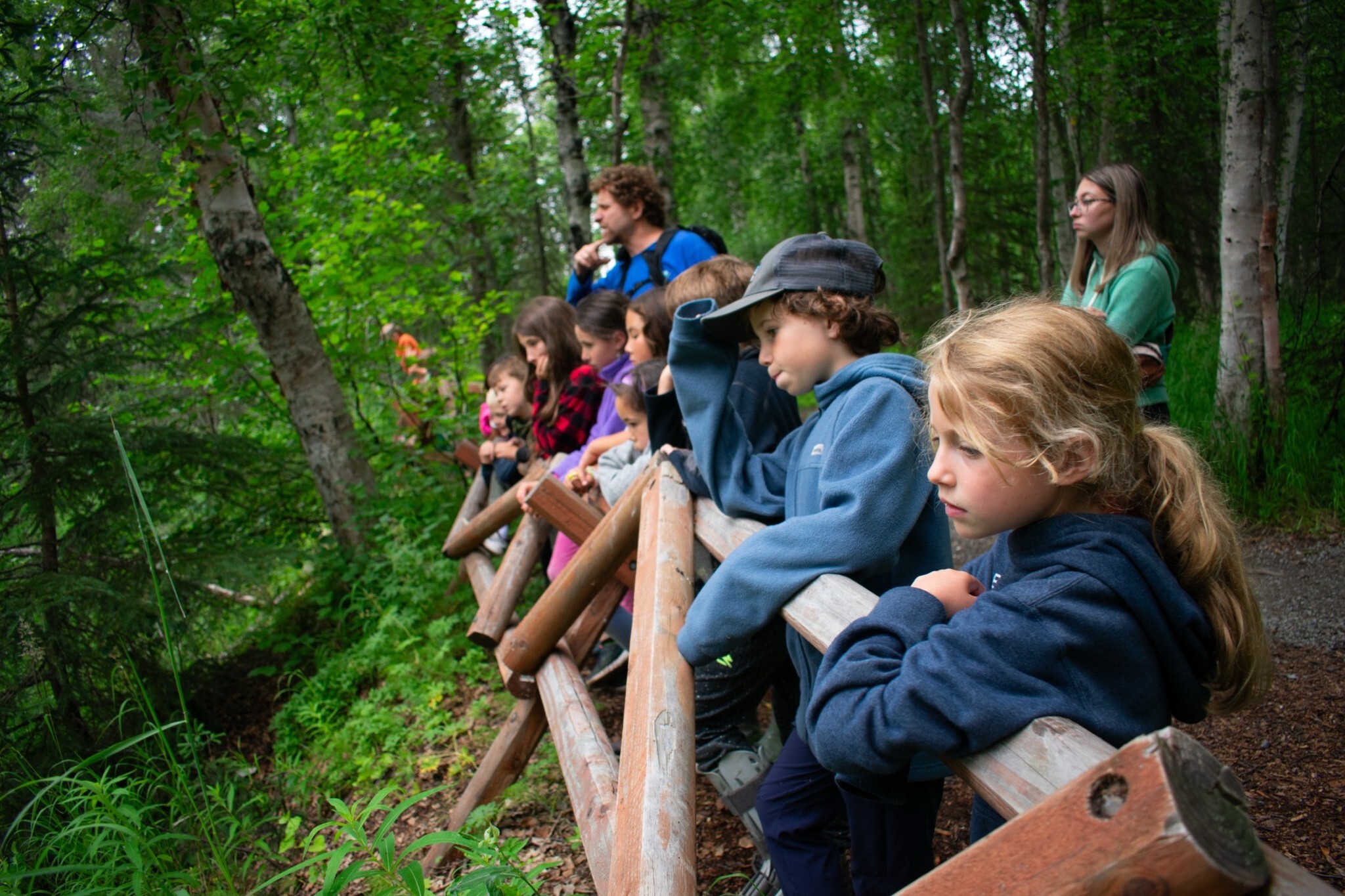 Camp K on Kenai lake photo 1