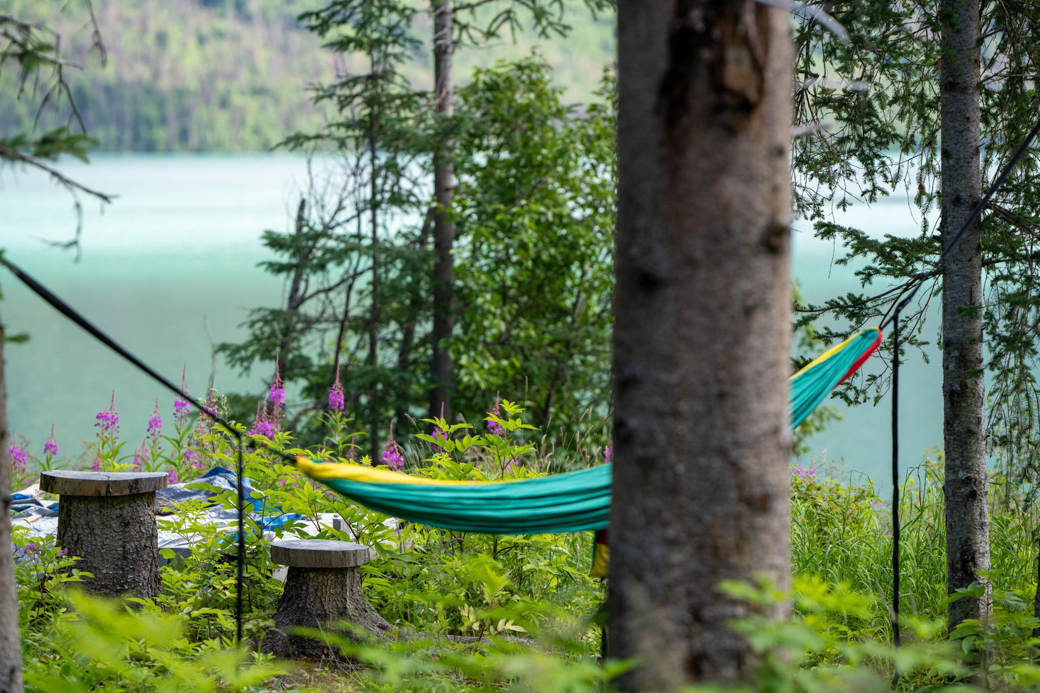 Adventure Treks: Alaska Expedition 24 photo 1