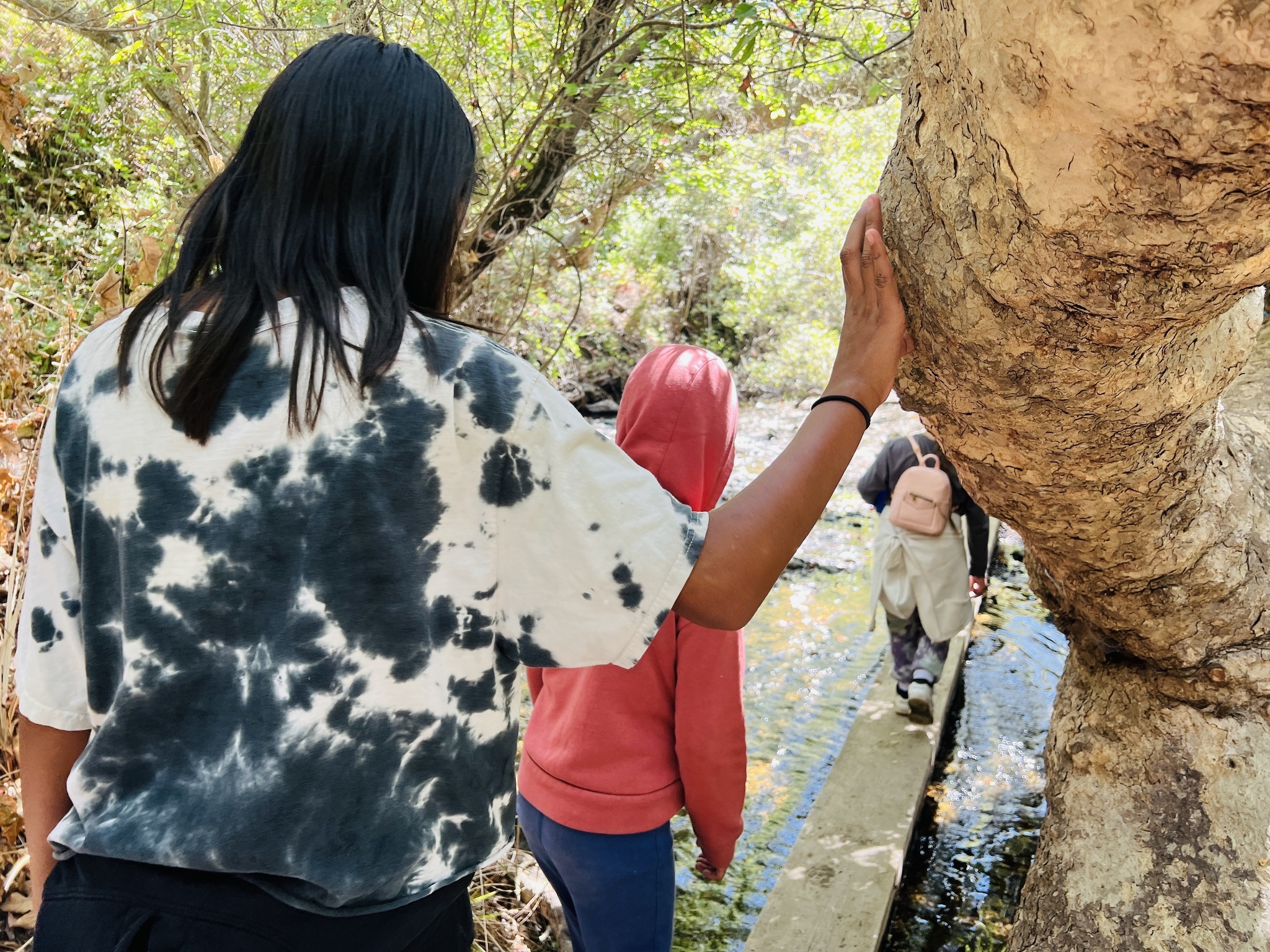 Camp Whittier photo 1