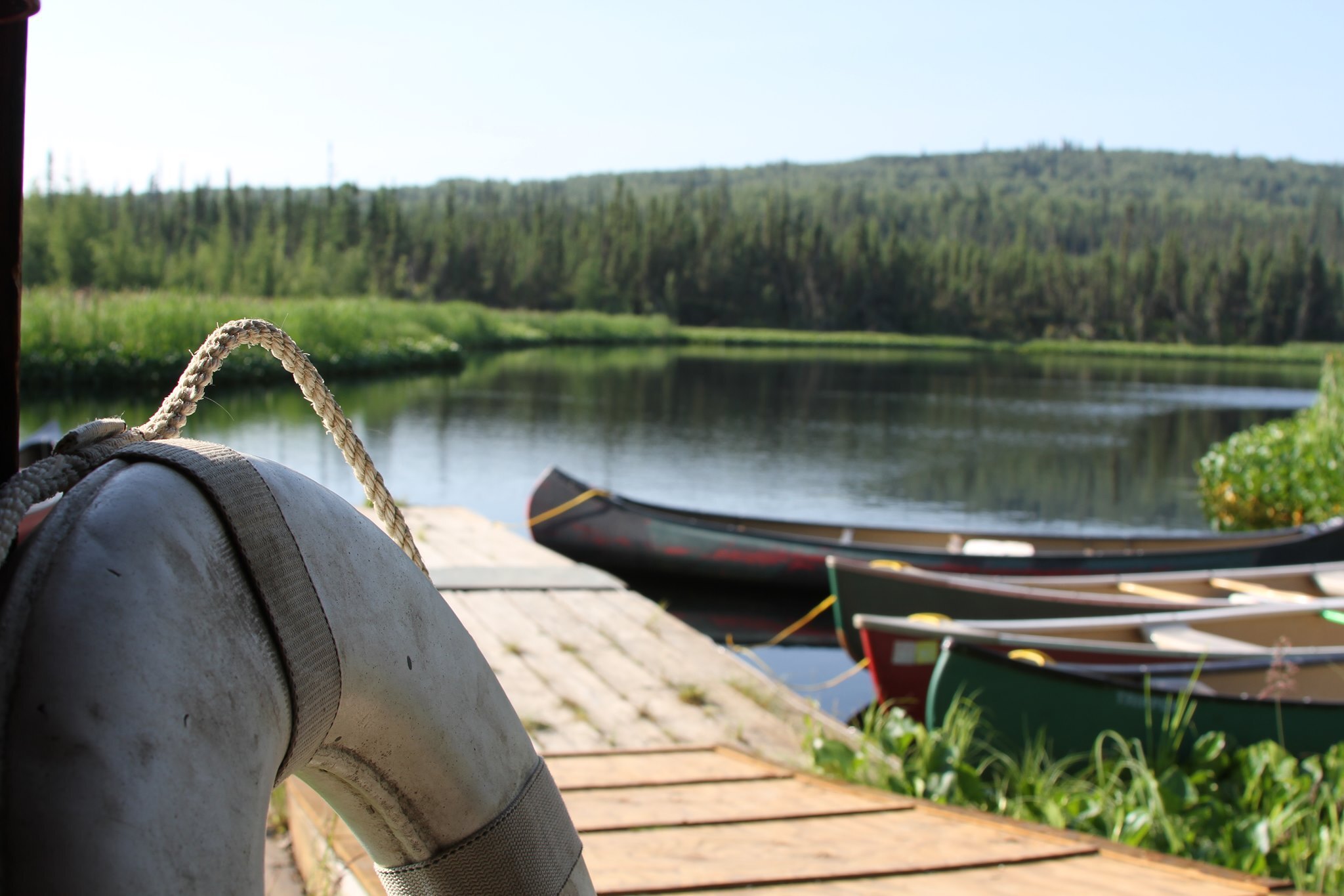 Bold Earth Teen Adventures - Alaska photo 1