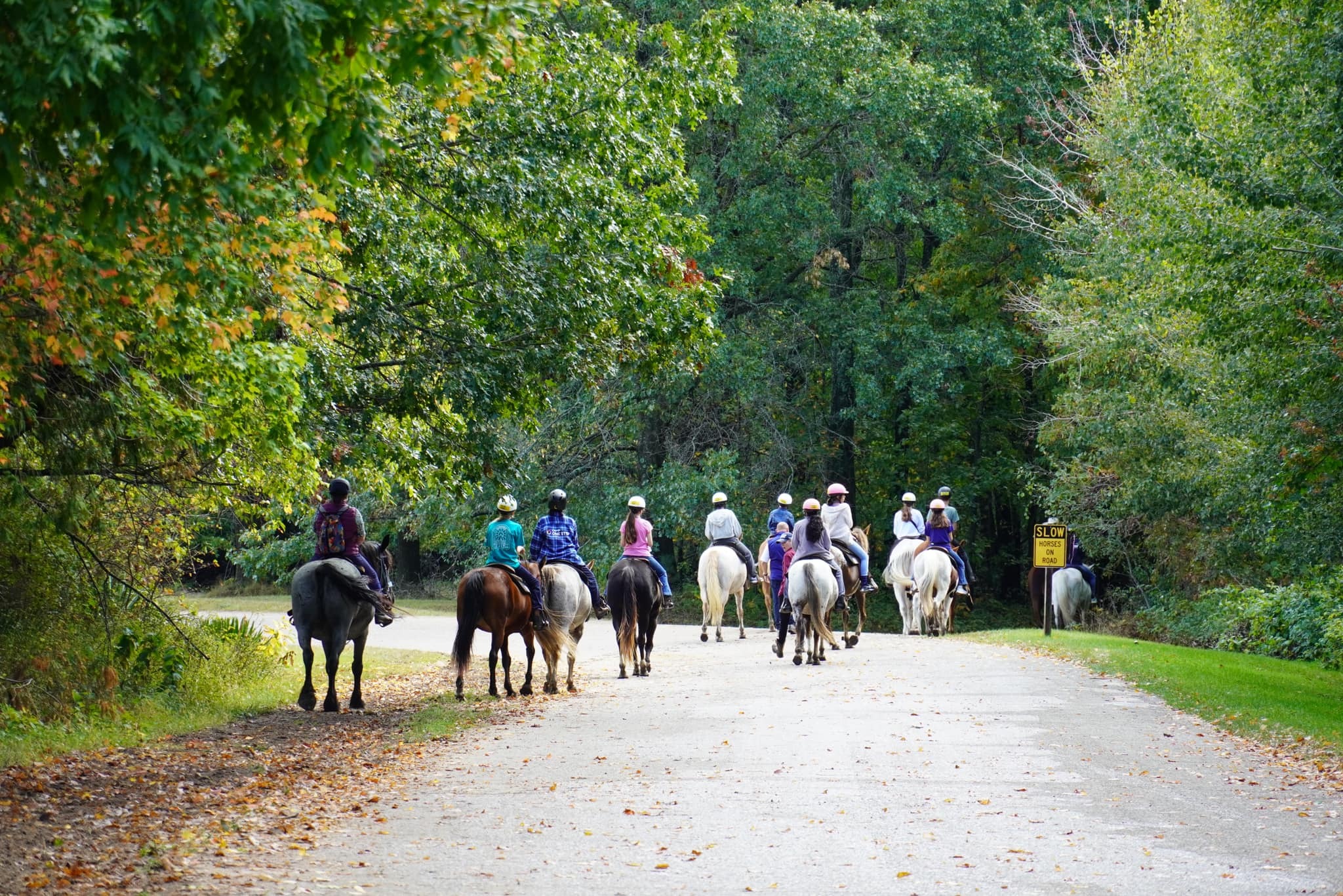 Kids Clay Room Camps photo 1