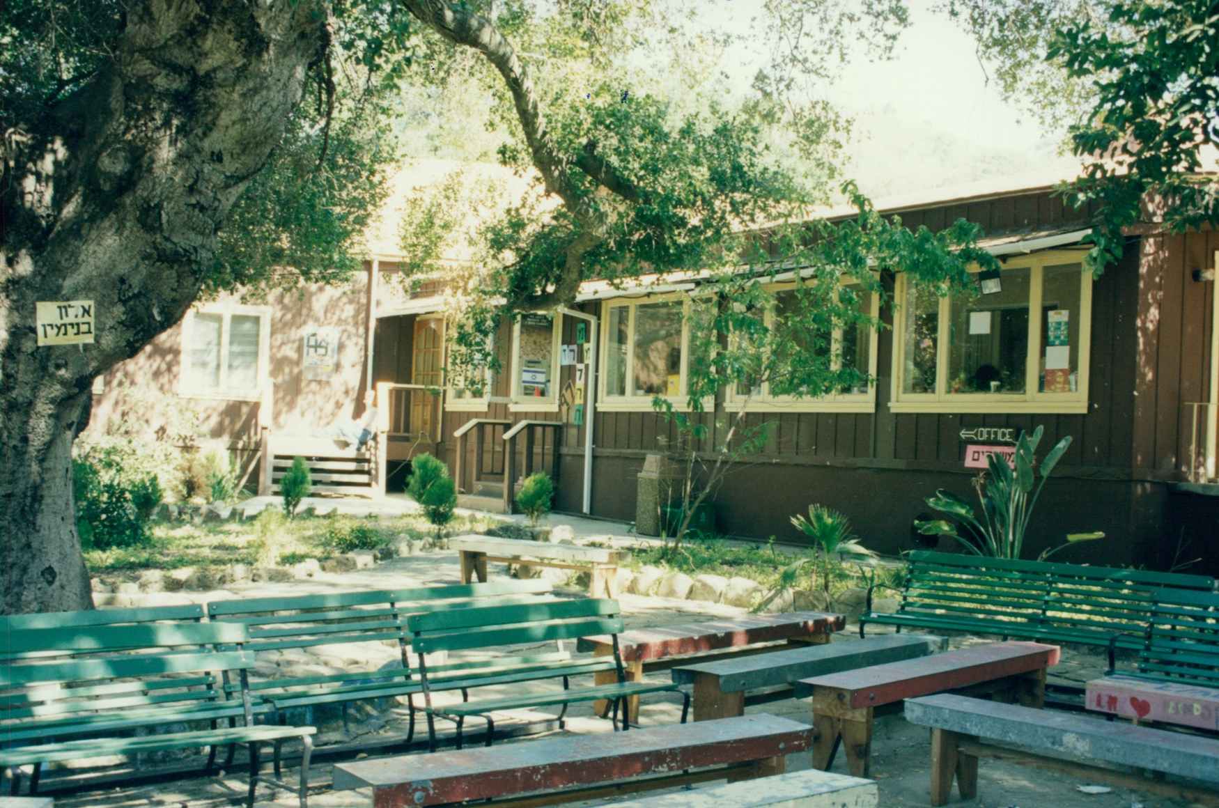 Gymnastics Day Camp At Twisters photo 1