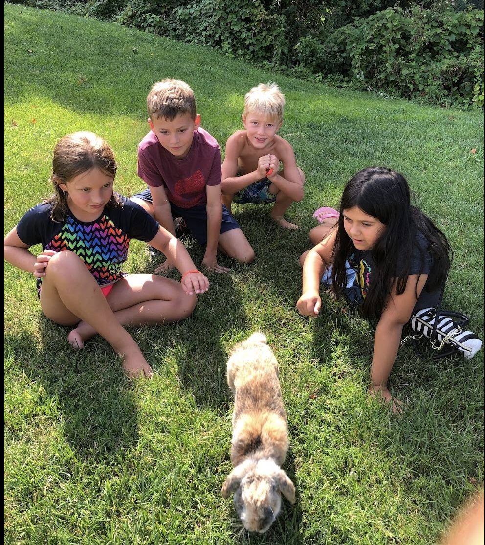 Camp Rock Baltimore photo 1