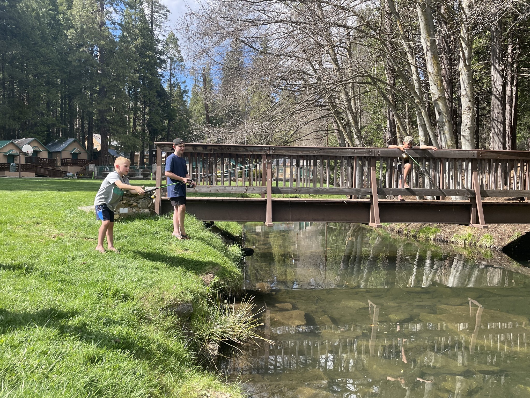 Sugar Pine Christian Camp