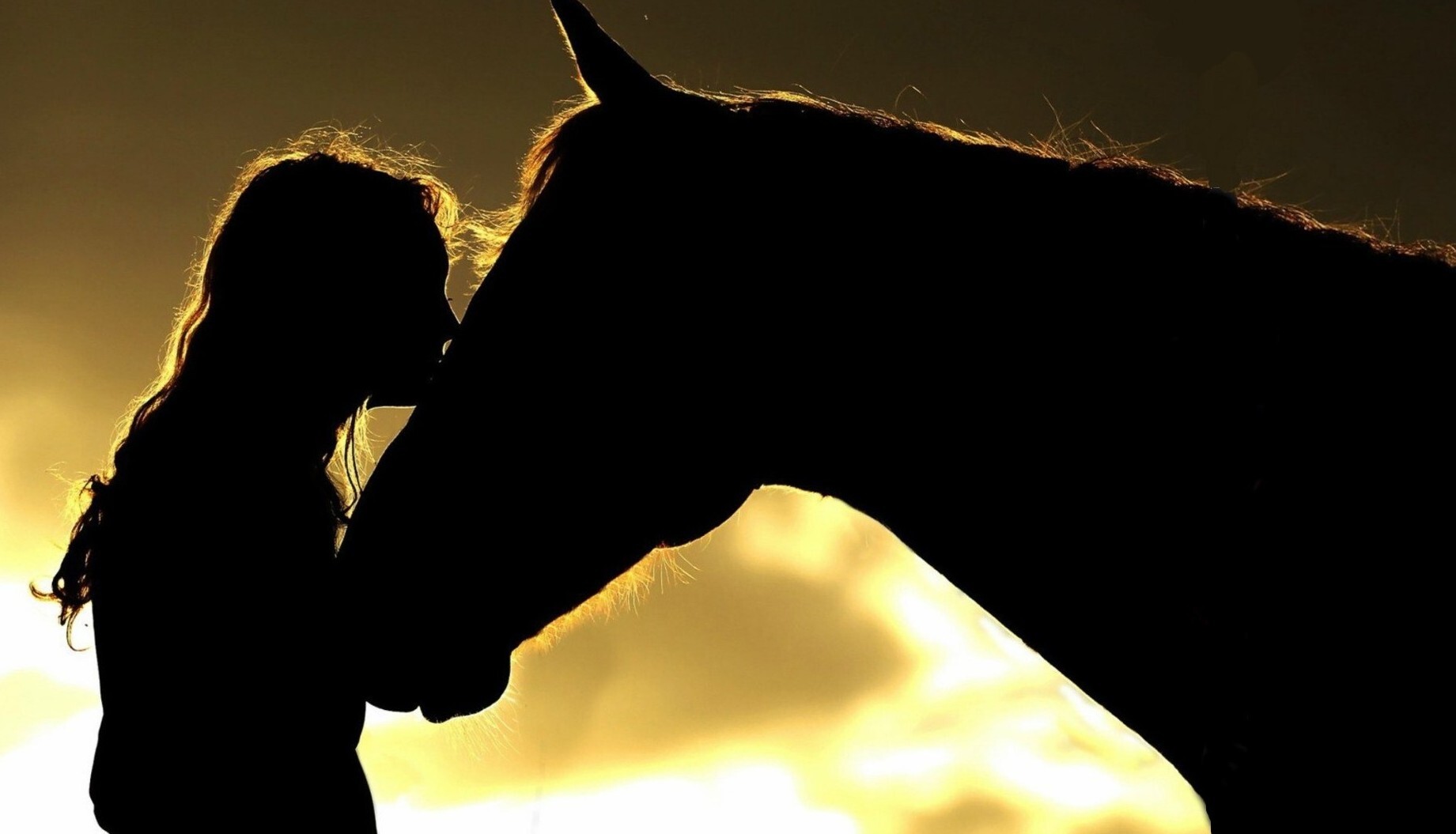 Camp Thunderbay photo 1