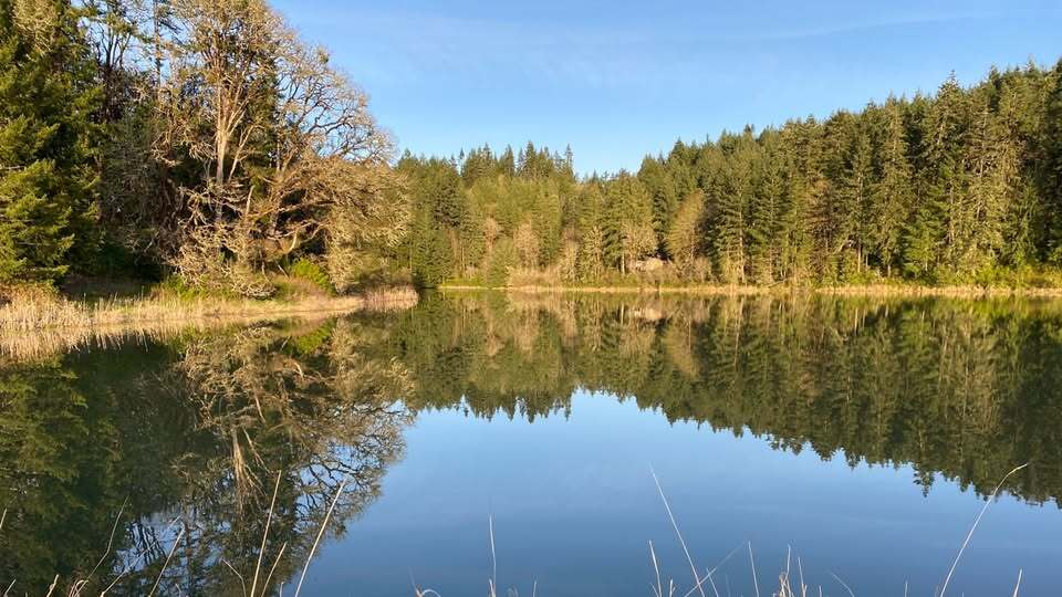 Trackers Earth-Sellwood Camps photo 1