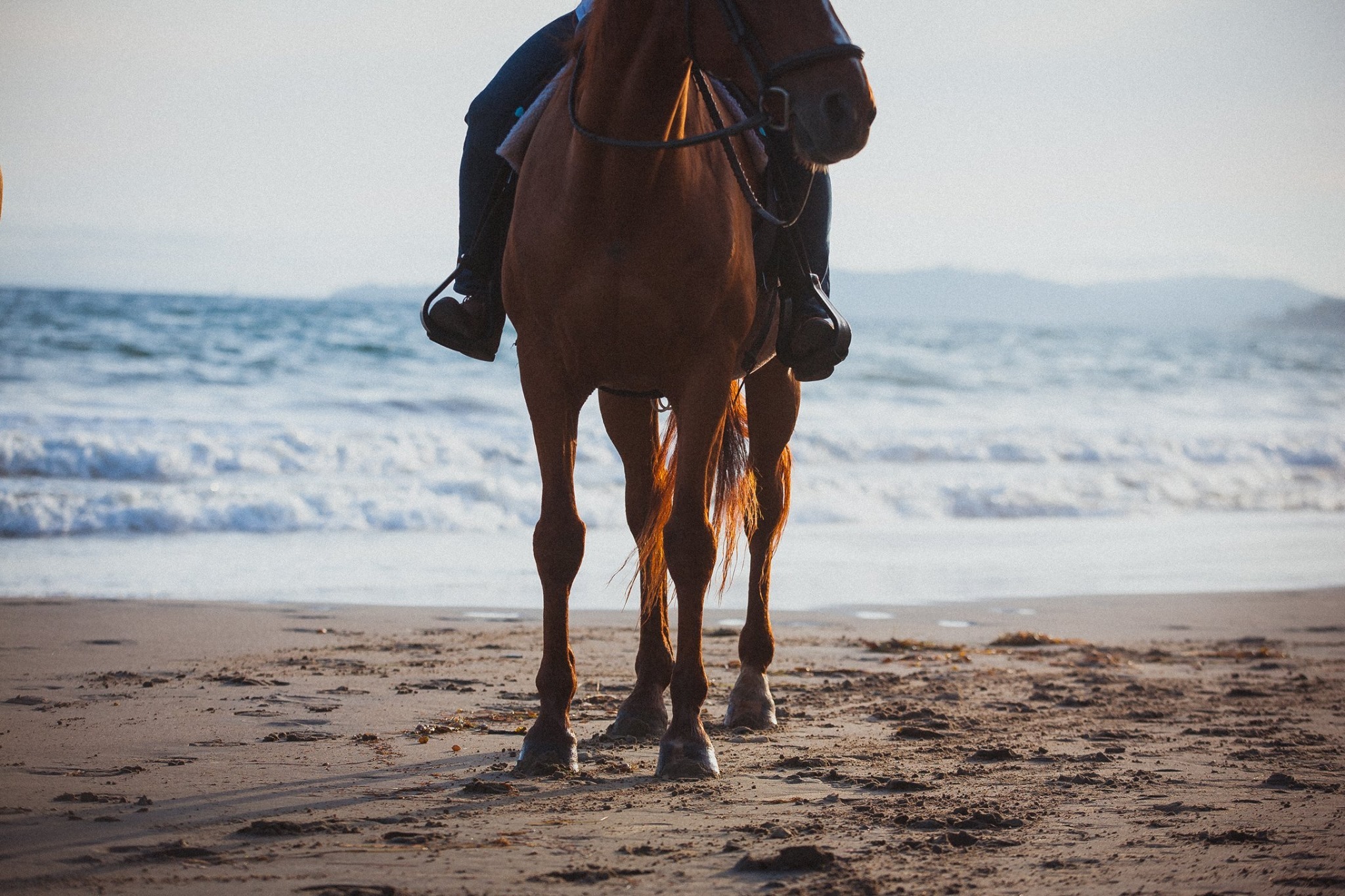 Cannon Trails Summer Horse Camp